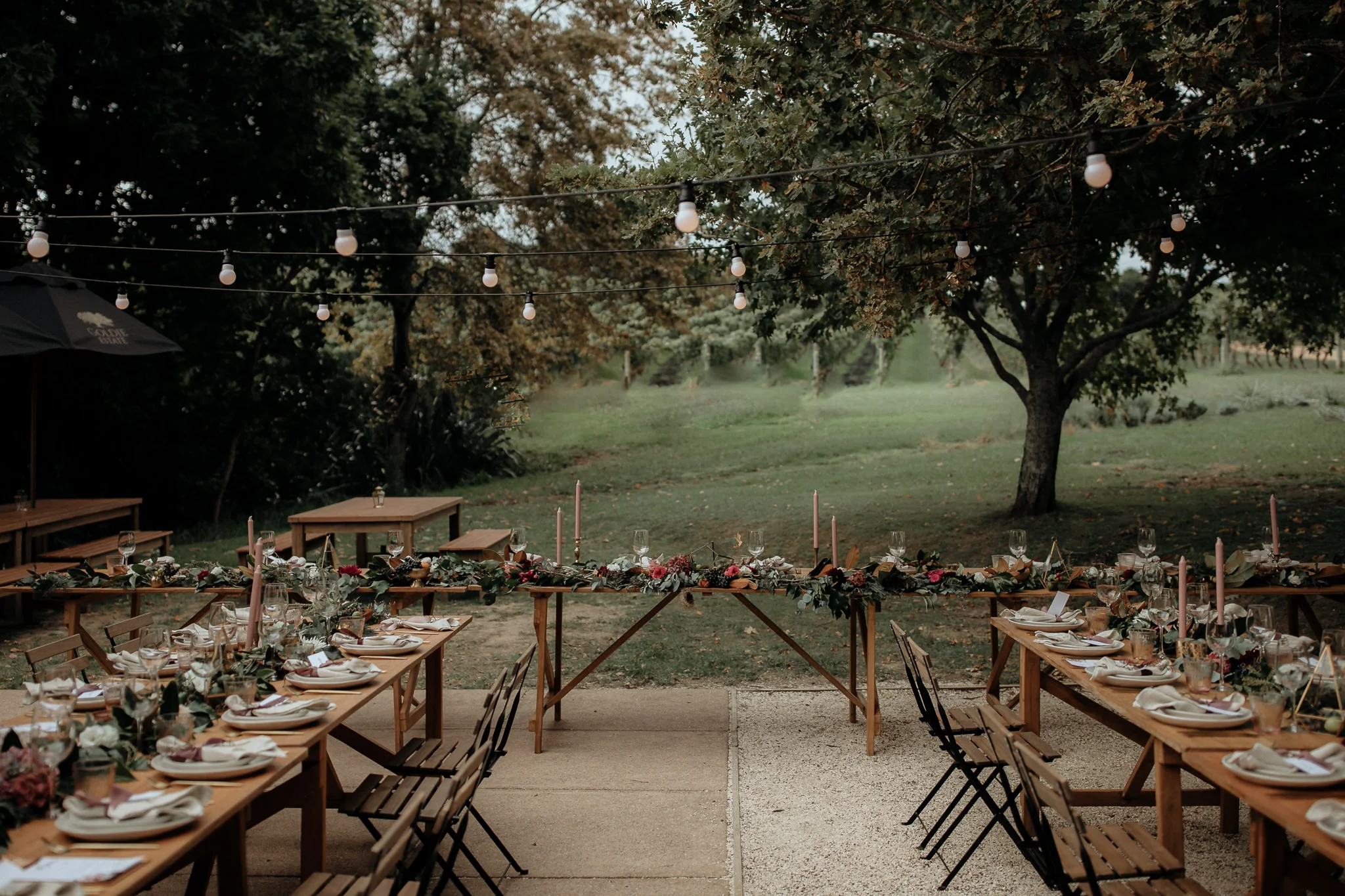 Anita and Aaron Preview-23570.jpg