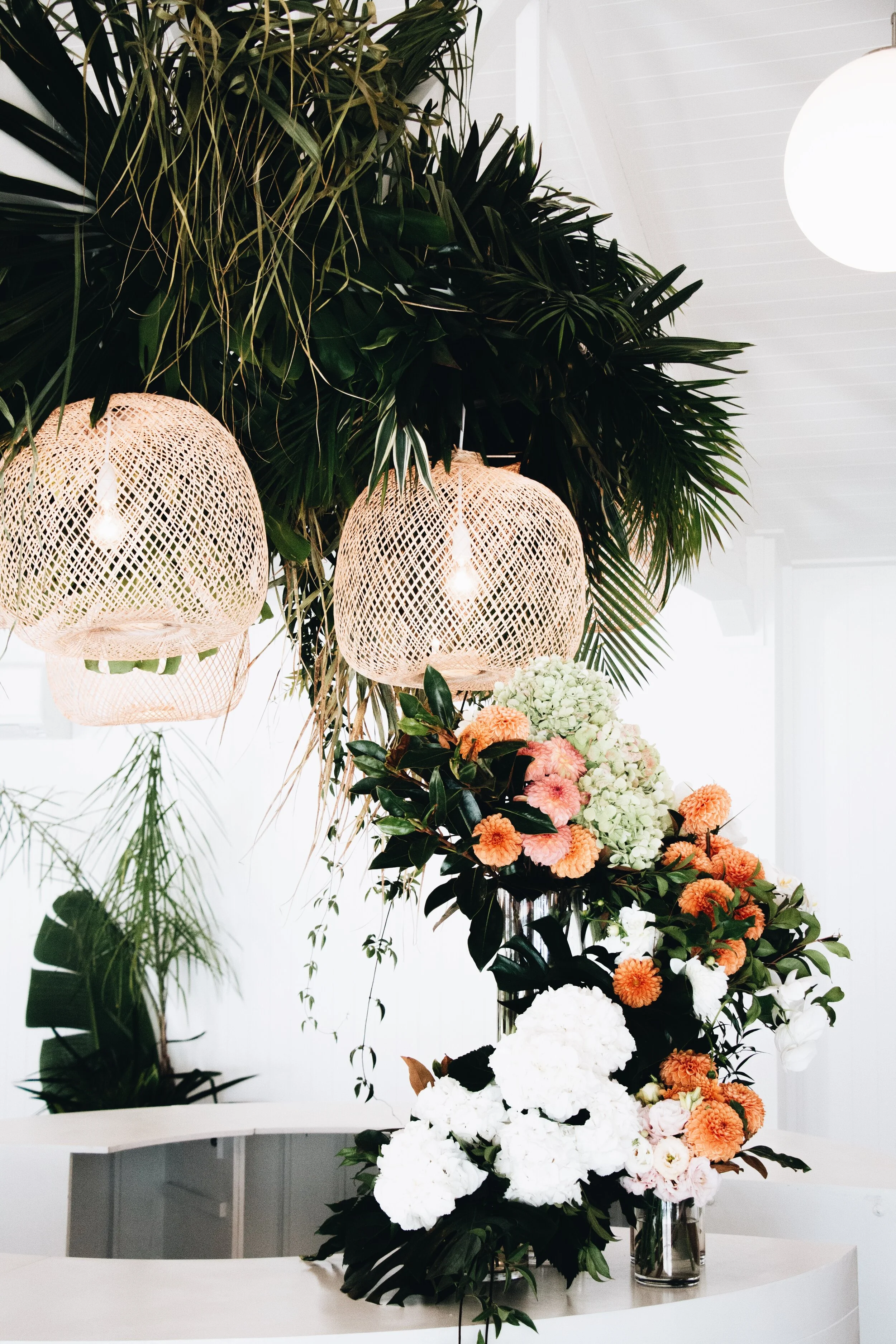 703DA1BC-434E-4CE6-8D01-A13D3EC1E684 2.JPG