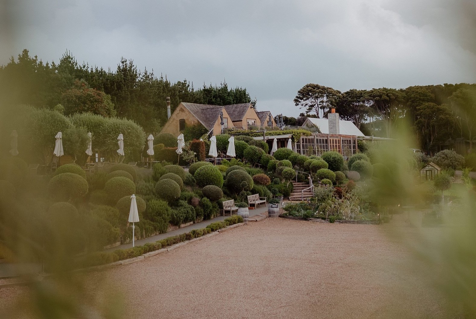 MUDBRICK VINEYARD