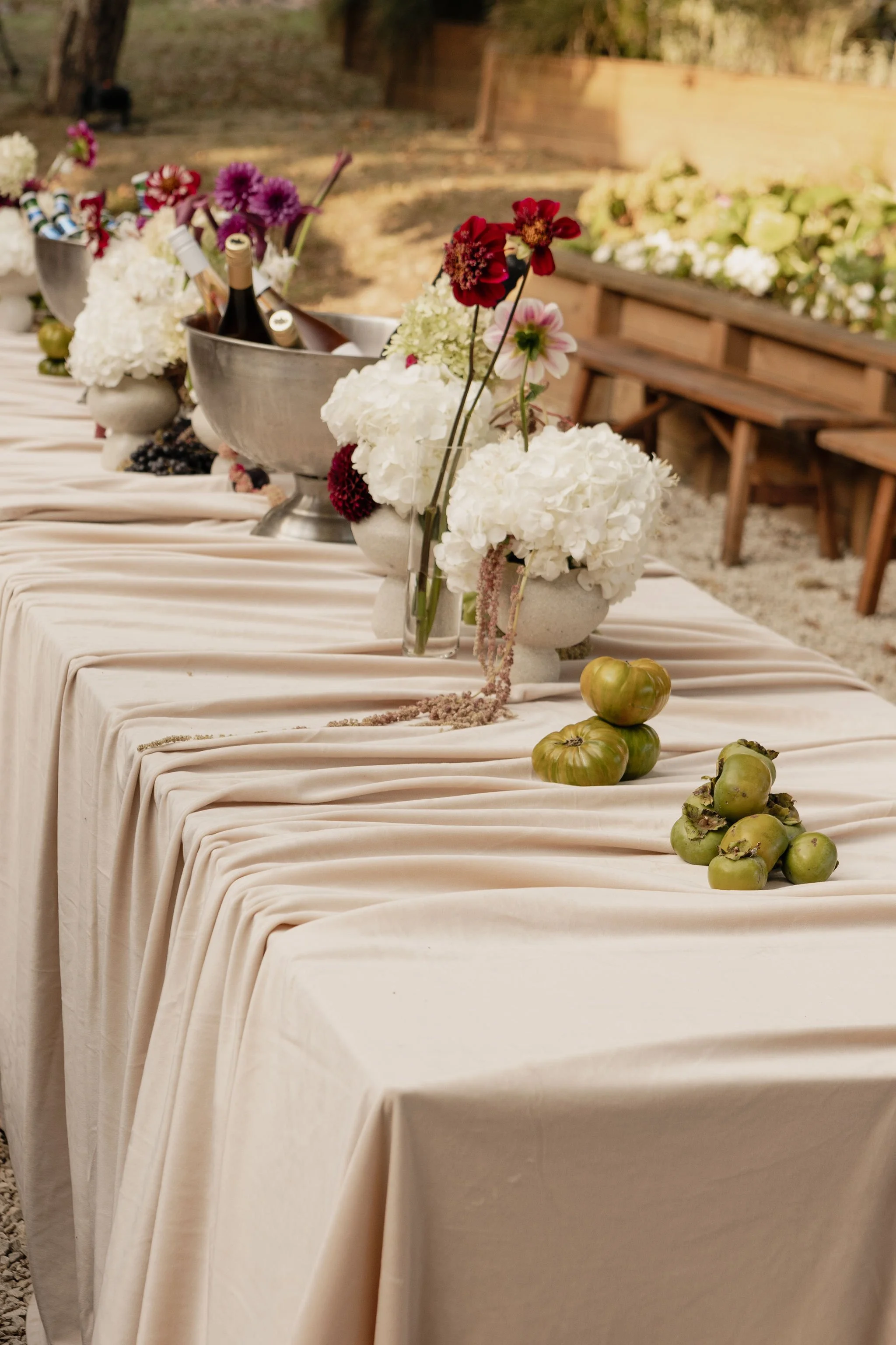 hannah+matt.8rqGtX 2.JPEG