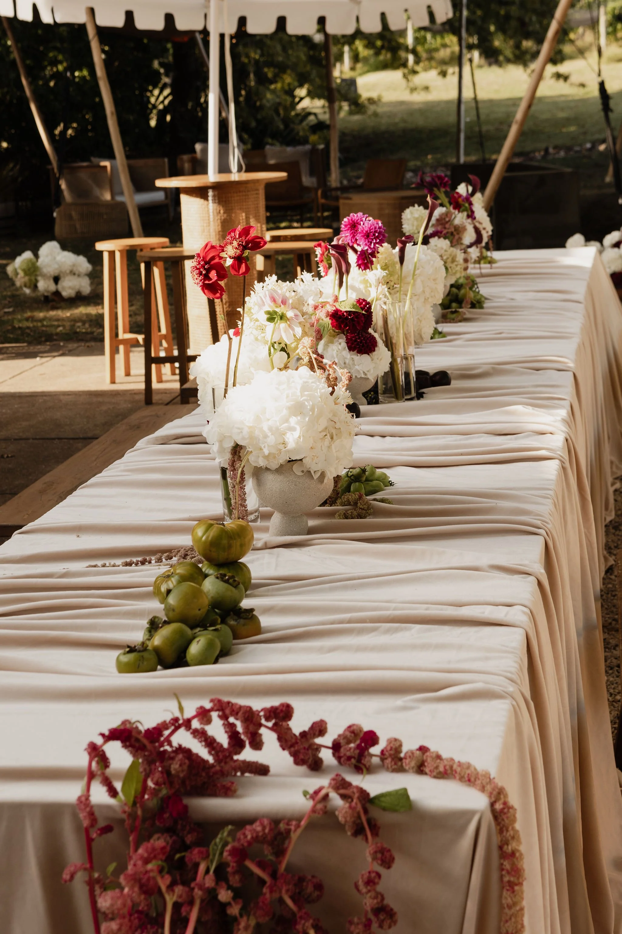 hannah+matt.Ajjl0t 2.JPEG