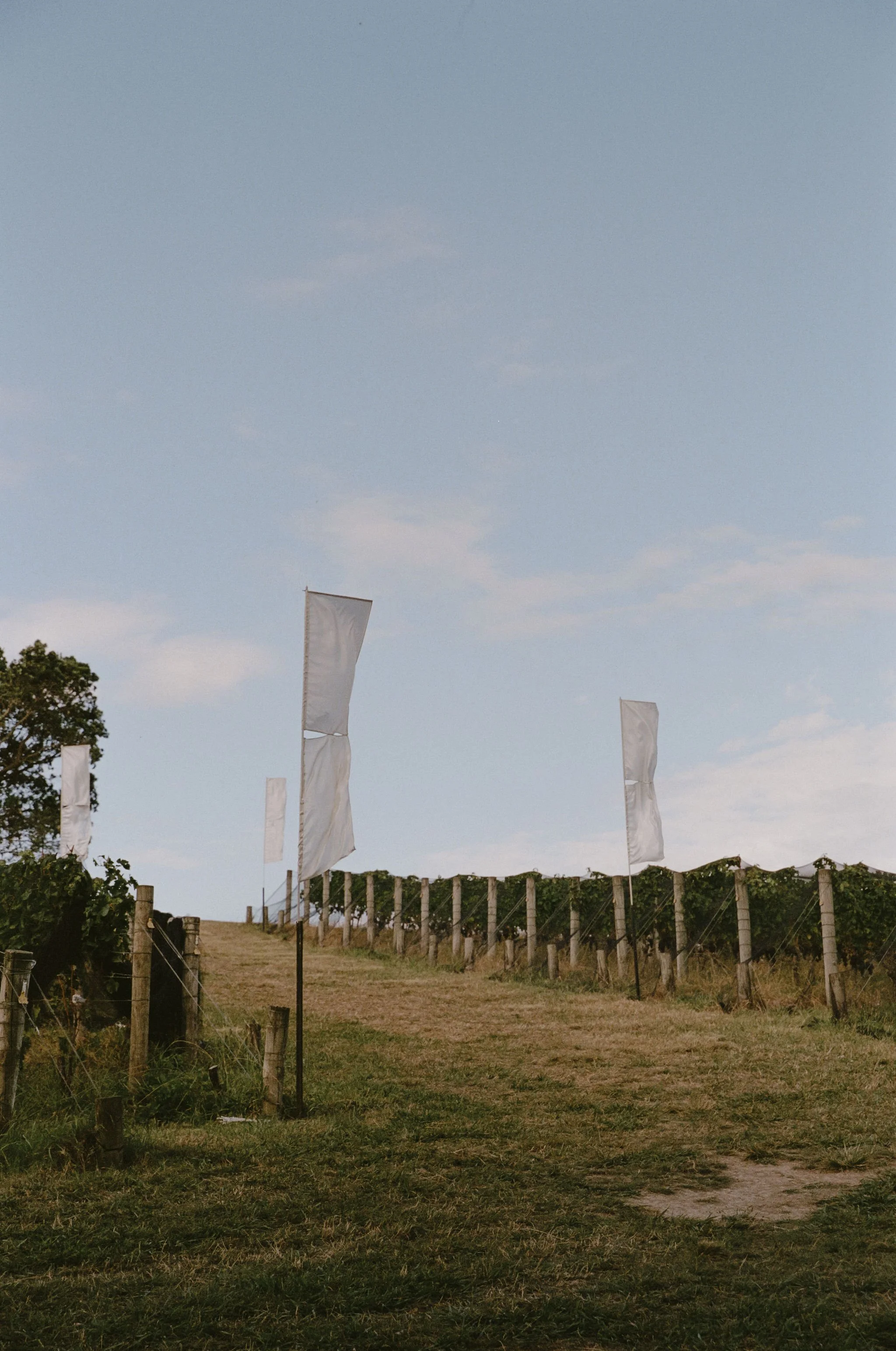 hannah+matt.FjSVb8 2.JPEG