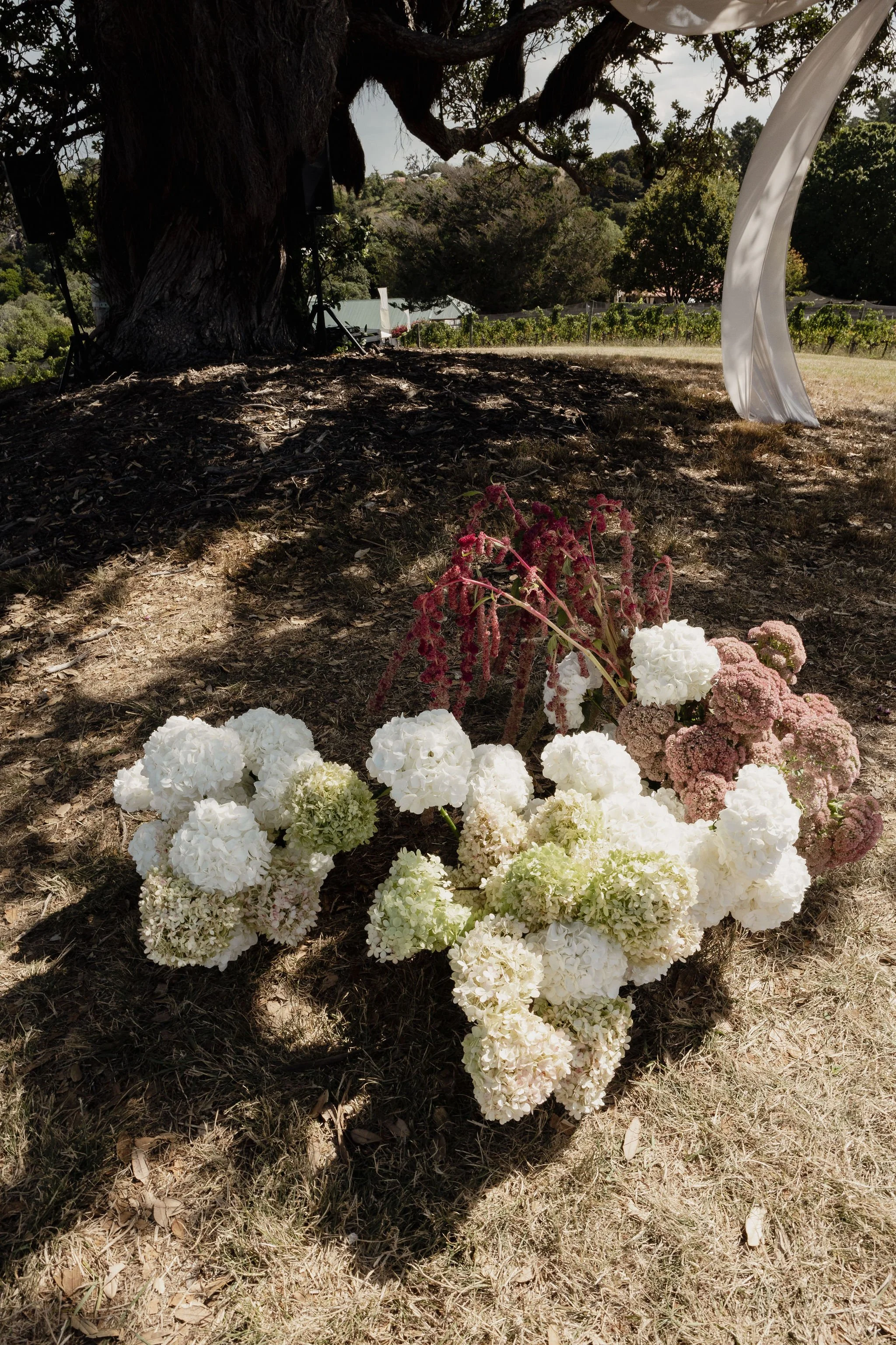 hannah+matt.mSY88m 2.JPEG