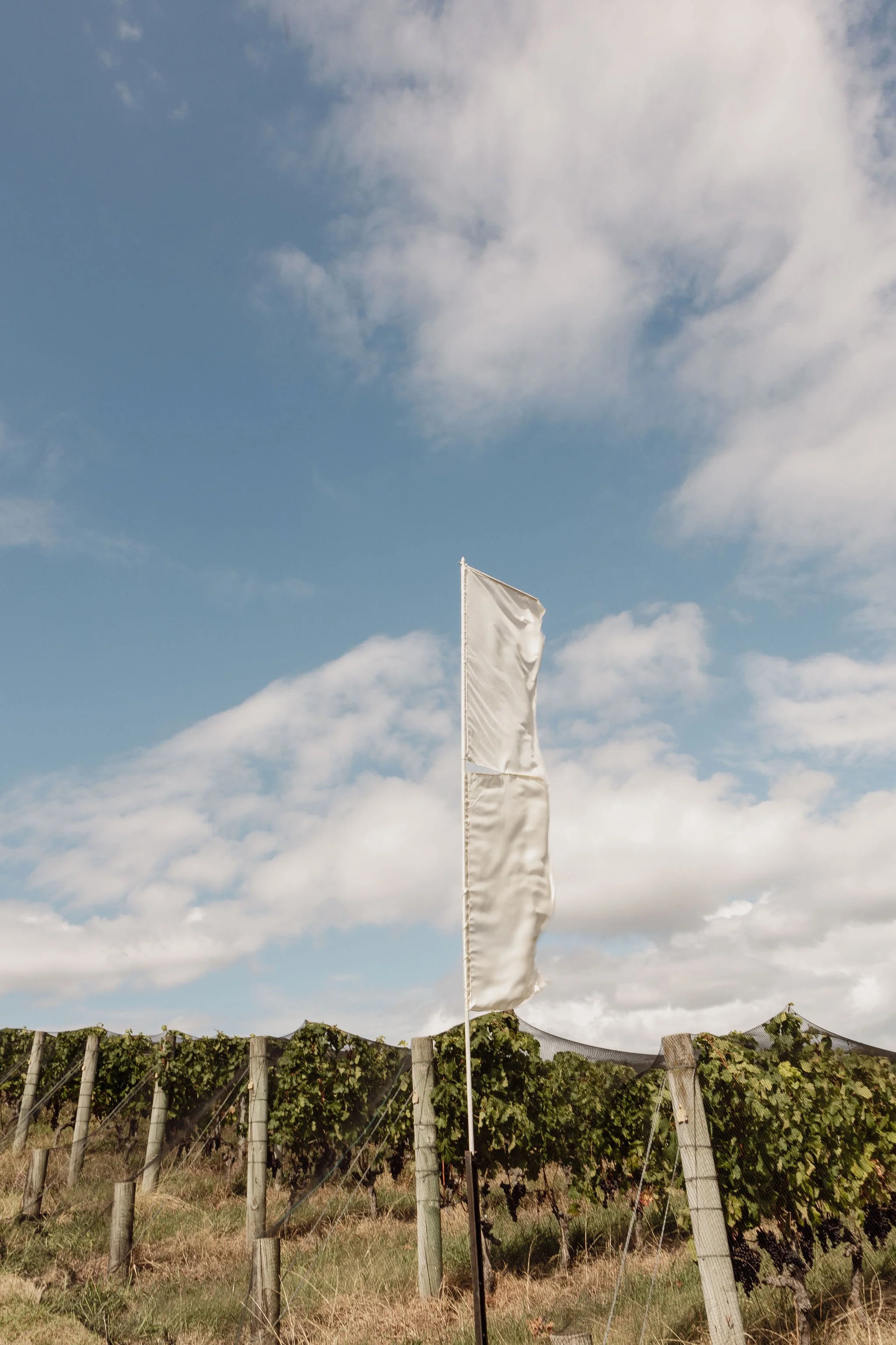 hannah+matt.Qdbi4r 2.JPEG