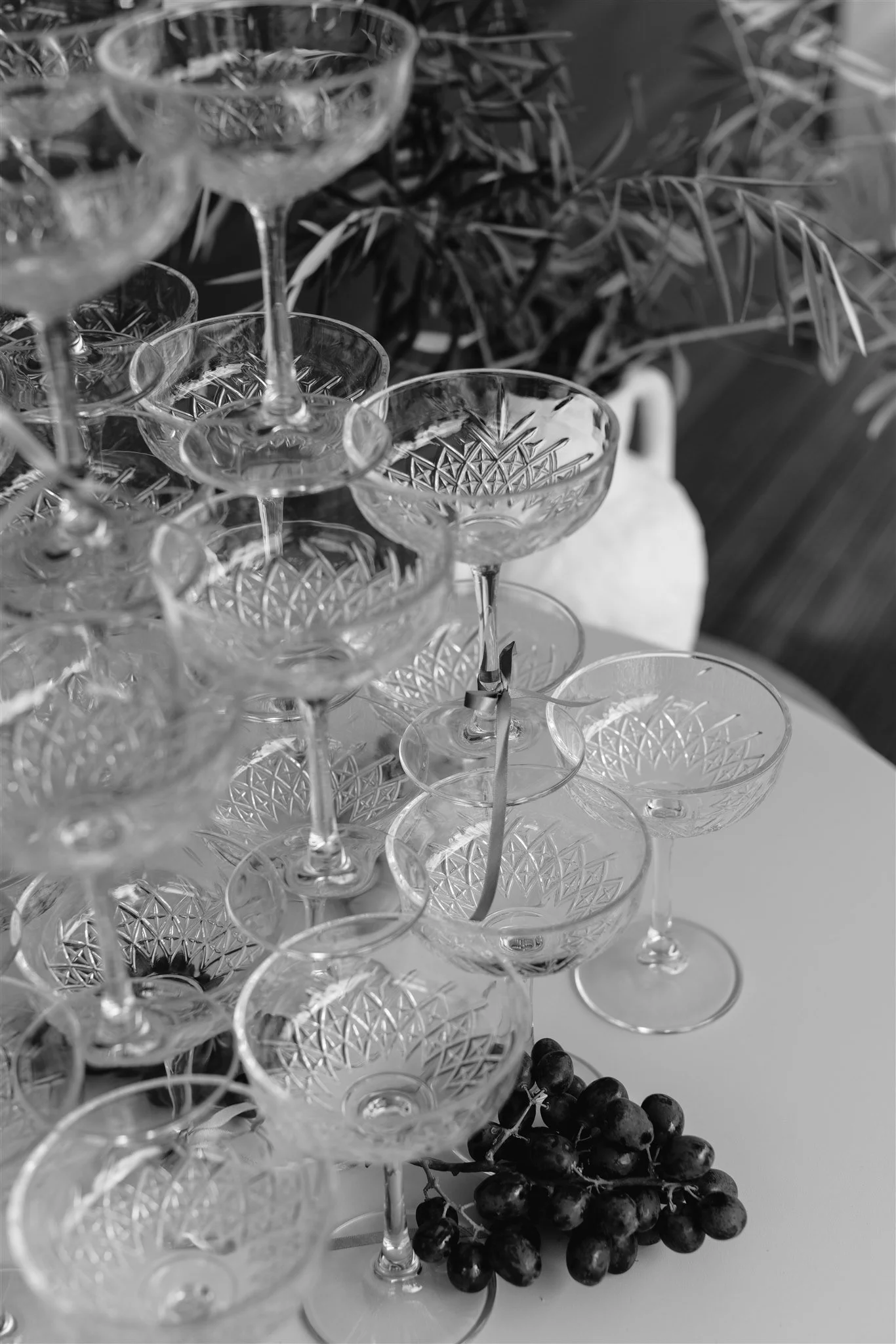 HannahBirdPhoto-Beatrice&Andrew-33.jpg