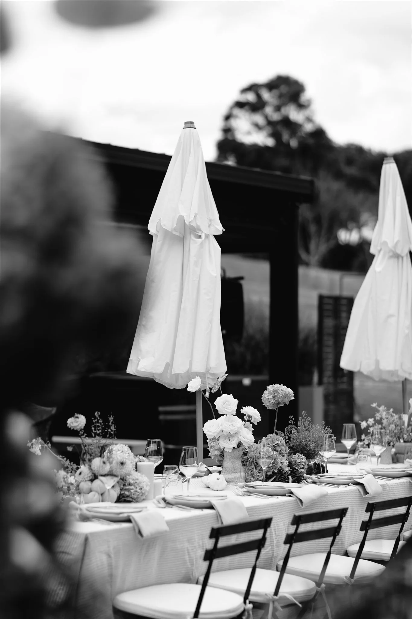 HannahBirdPhoto-Beatrice&Andrew-72.jpg