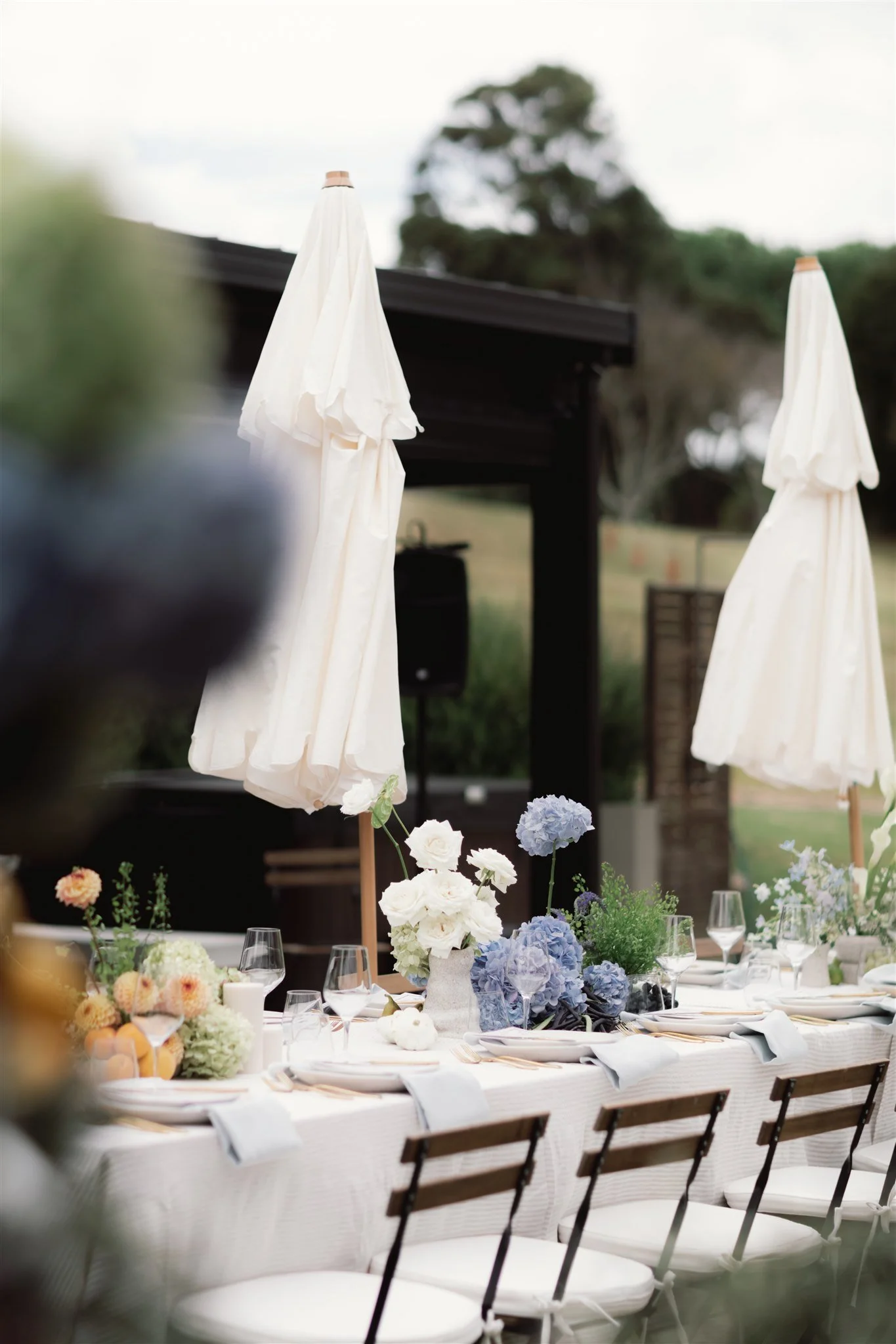 HannahBirdPhoto-Beatrice&Andrew-73.jpg