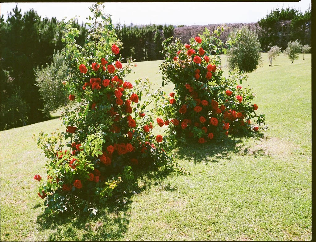 J&H-FILM-57.jpg