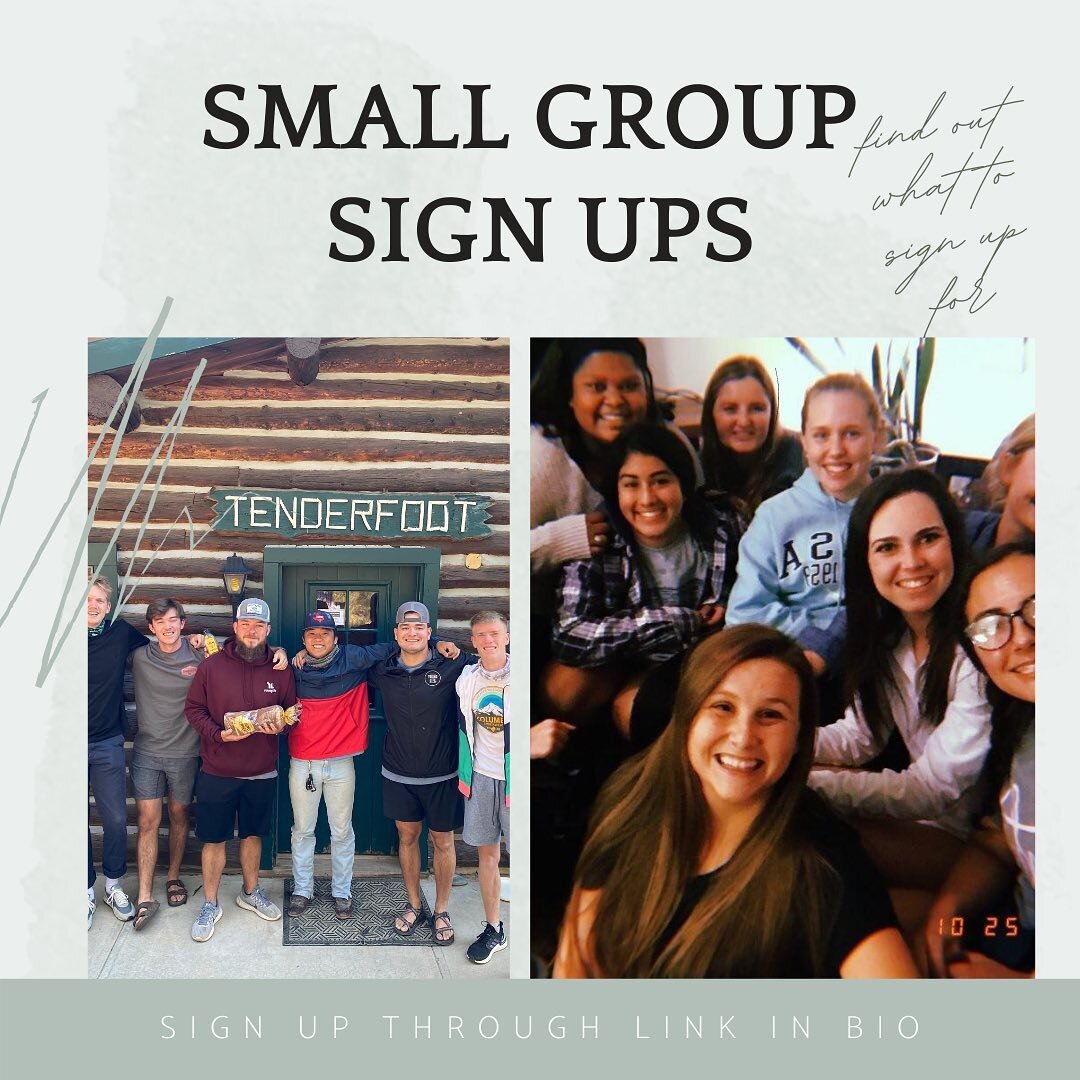 Small group sign ups are live! Check out the link in our bio!
