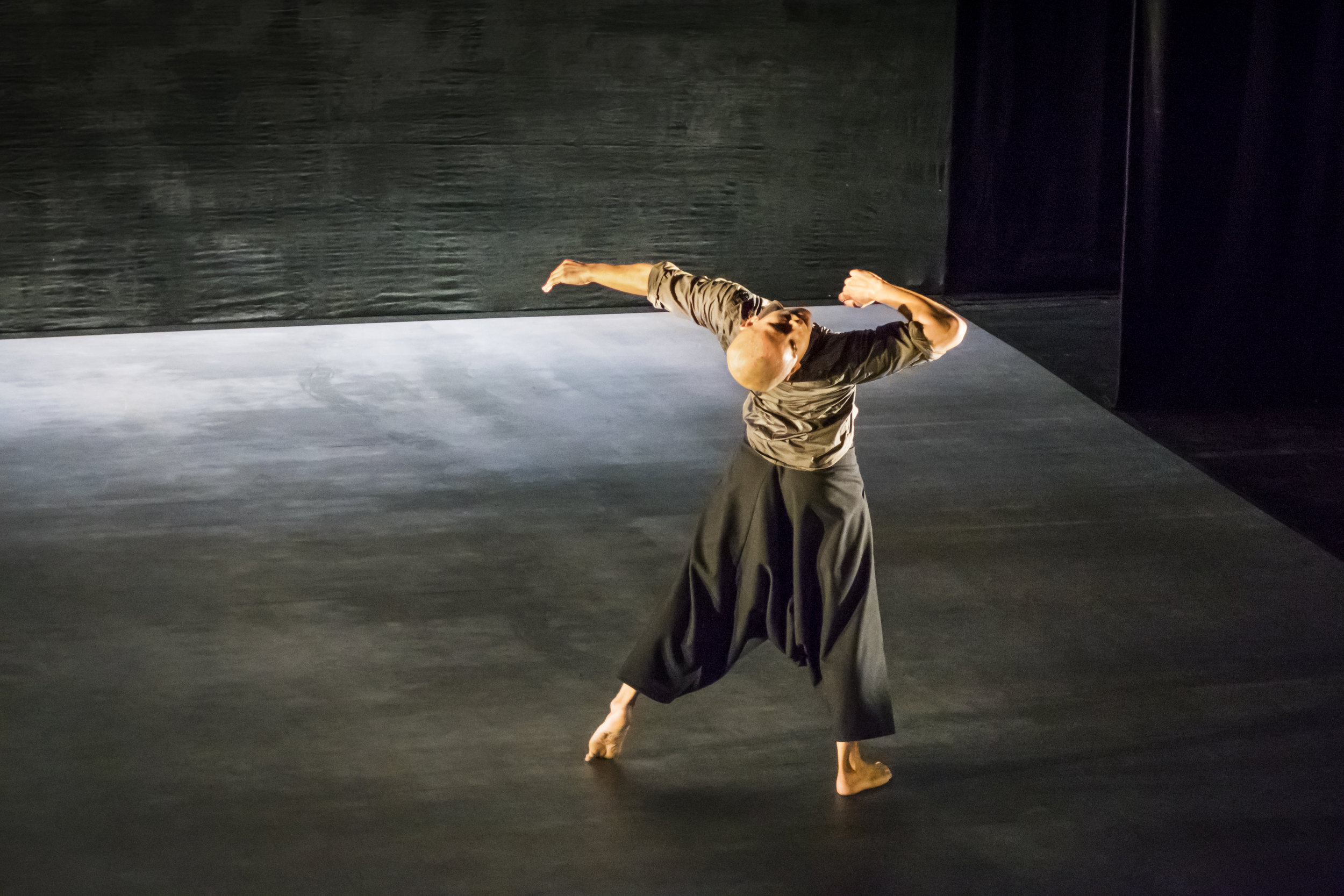 Chotto Desh 9-15 512 dancer Dennis Alamanos (1).jpg