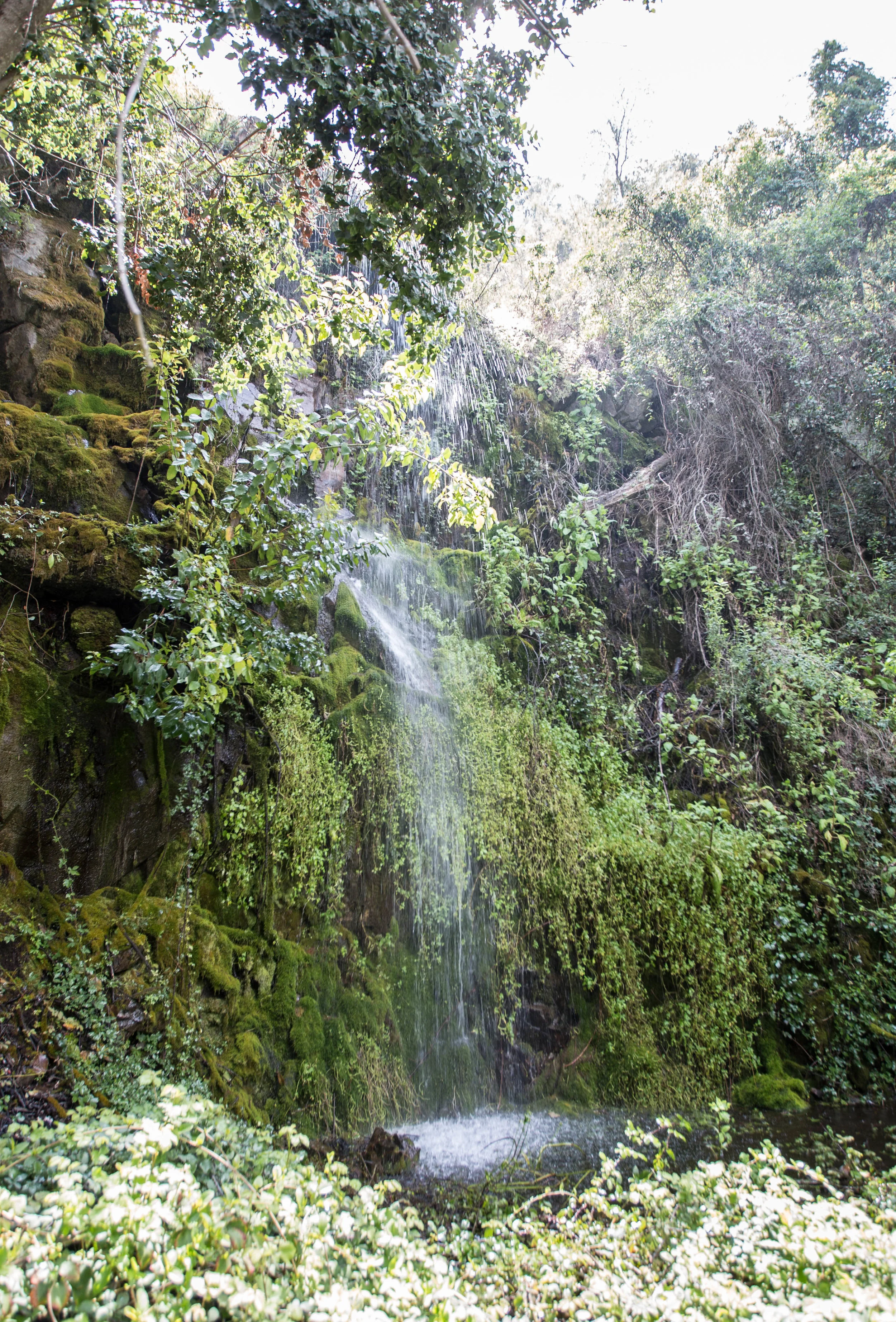 Salto de agua
