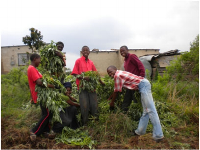 Projects_Sustainable_Development.jpg