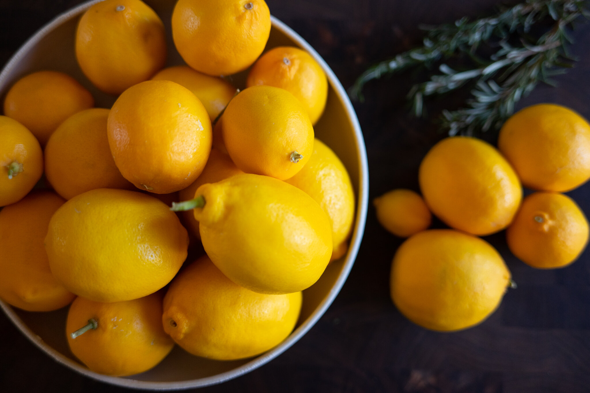 AF-lemons w rosemary.jpg