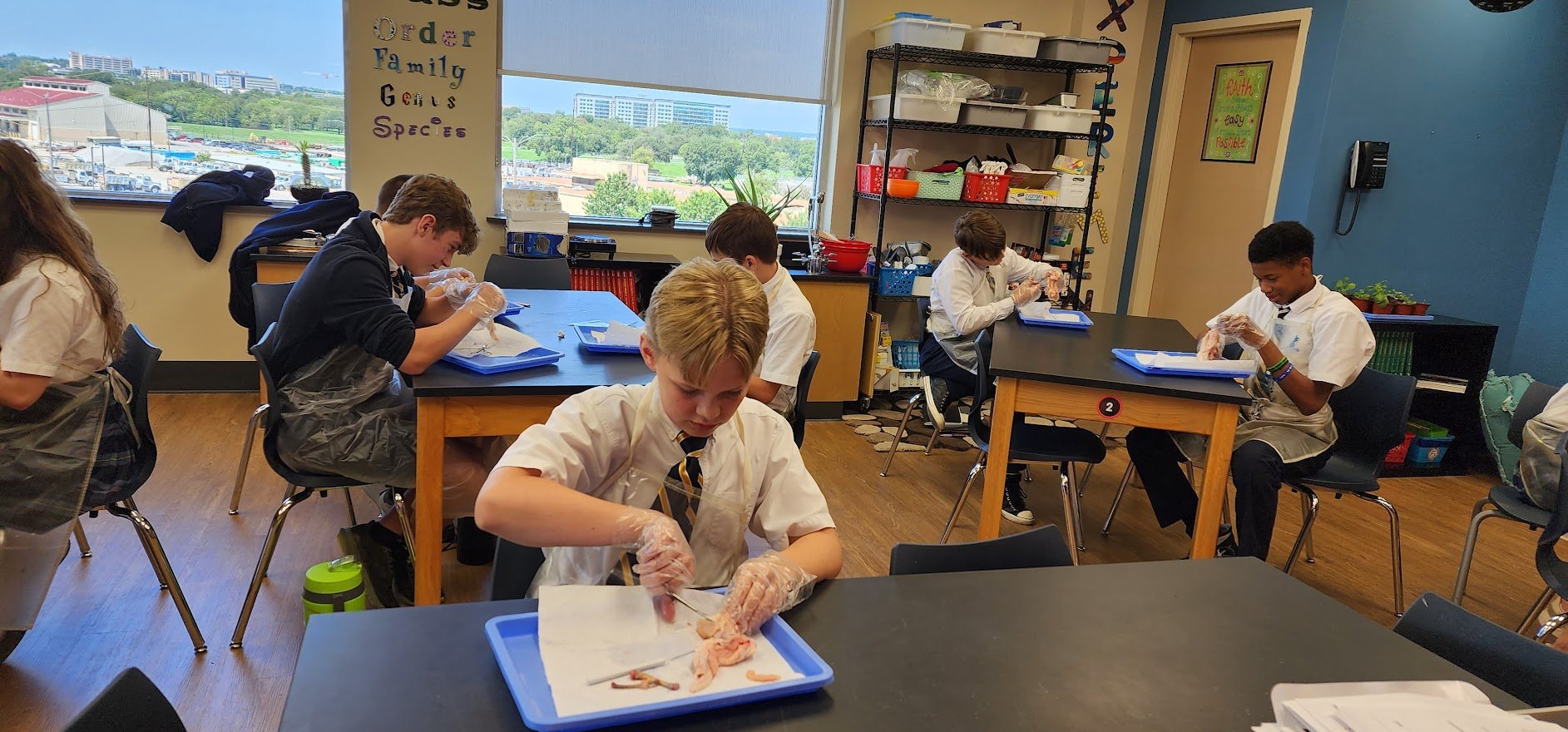 7th dissection 1.jpg