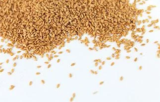 flax_600x600.jpg