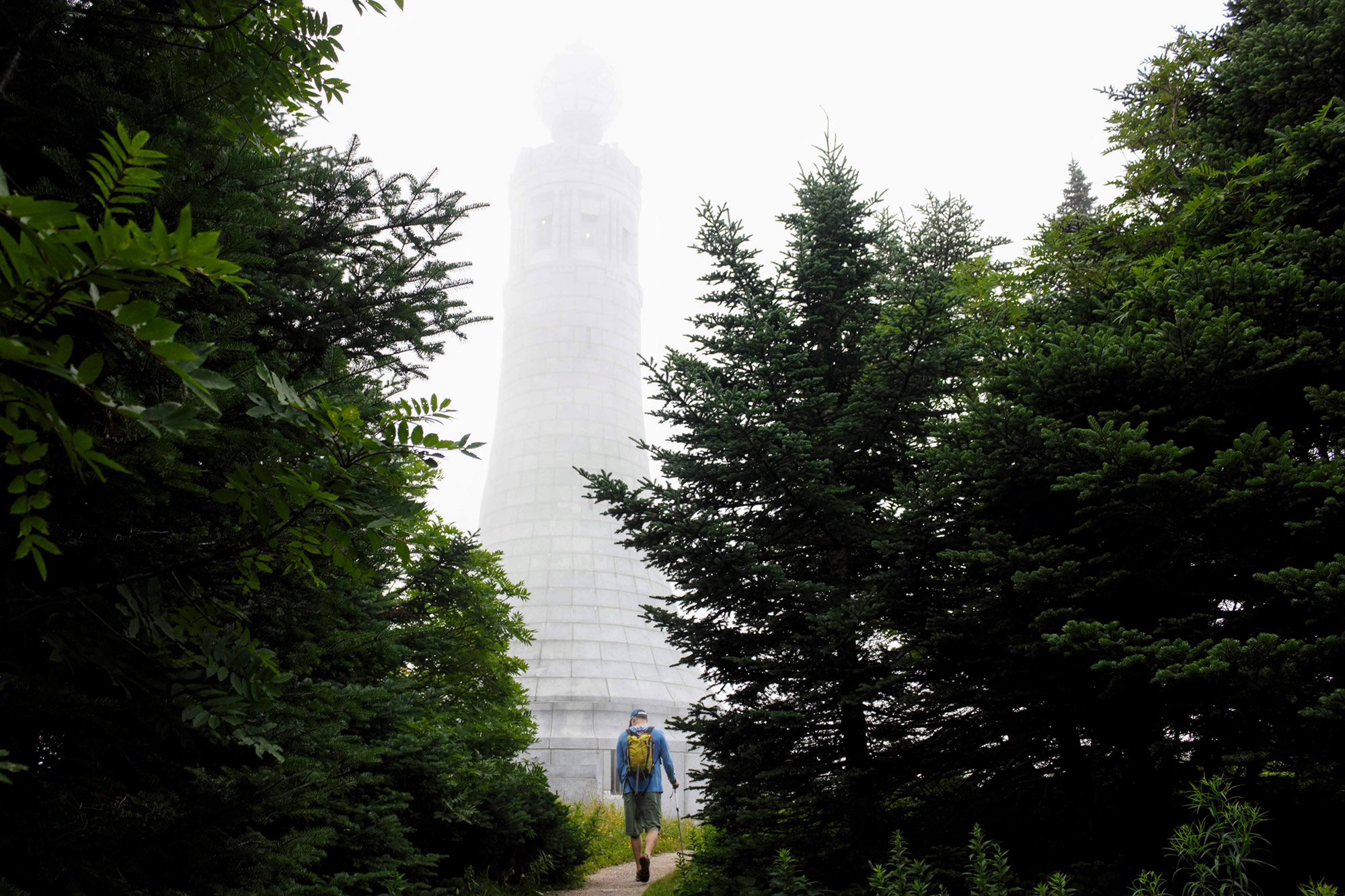 Alpha Guide: Mount Greylock's Thunderbolt Trail