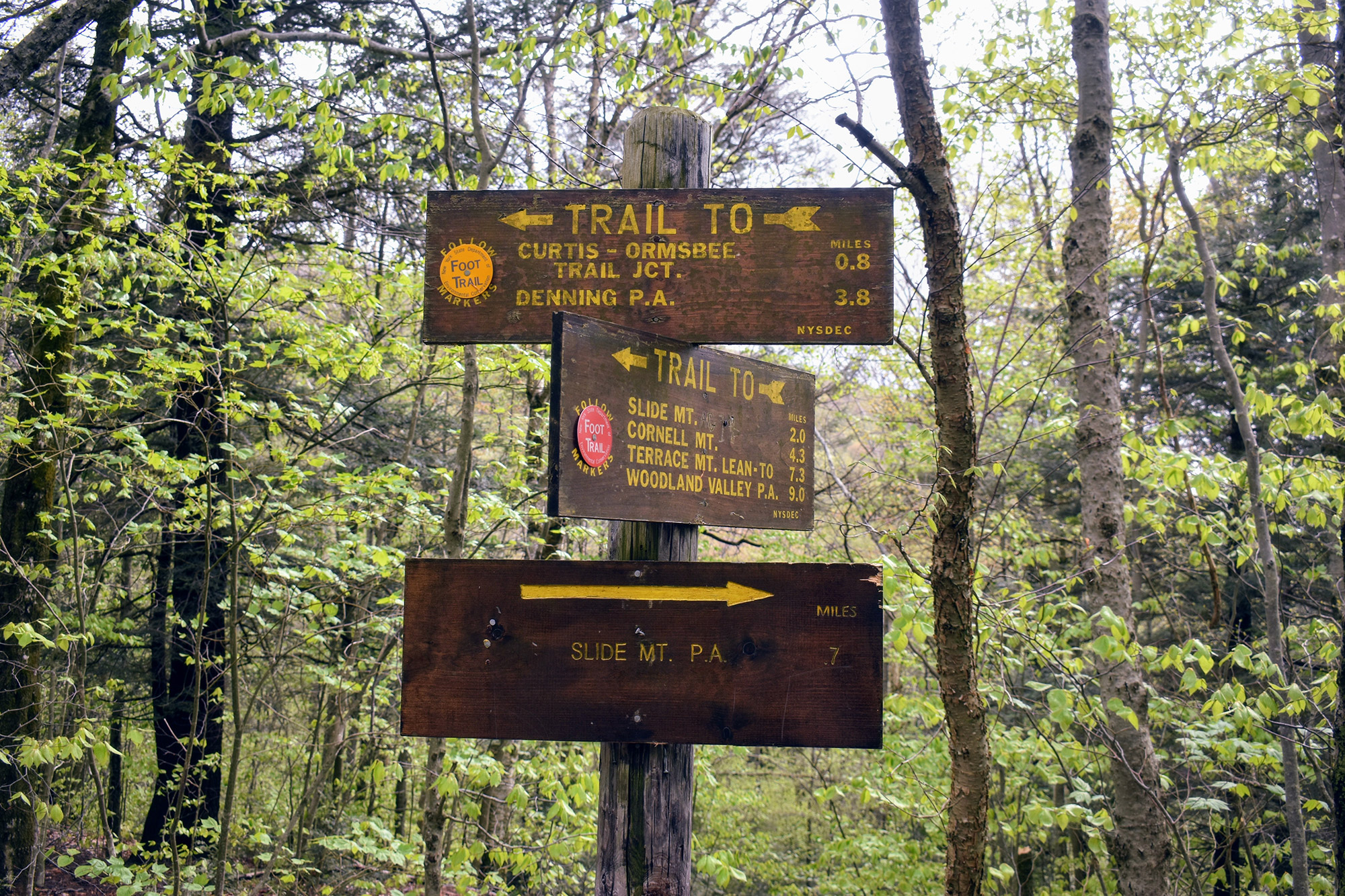 Lest We Forget: Hiking the Two Catskill's 4,000-Footers