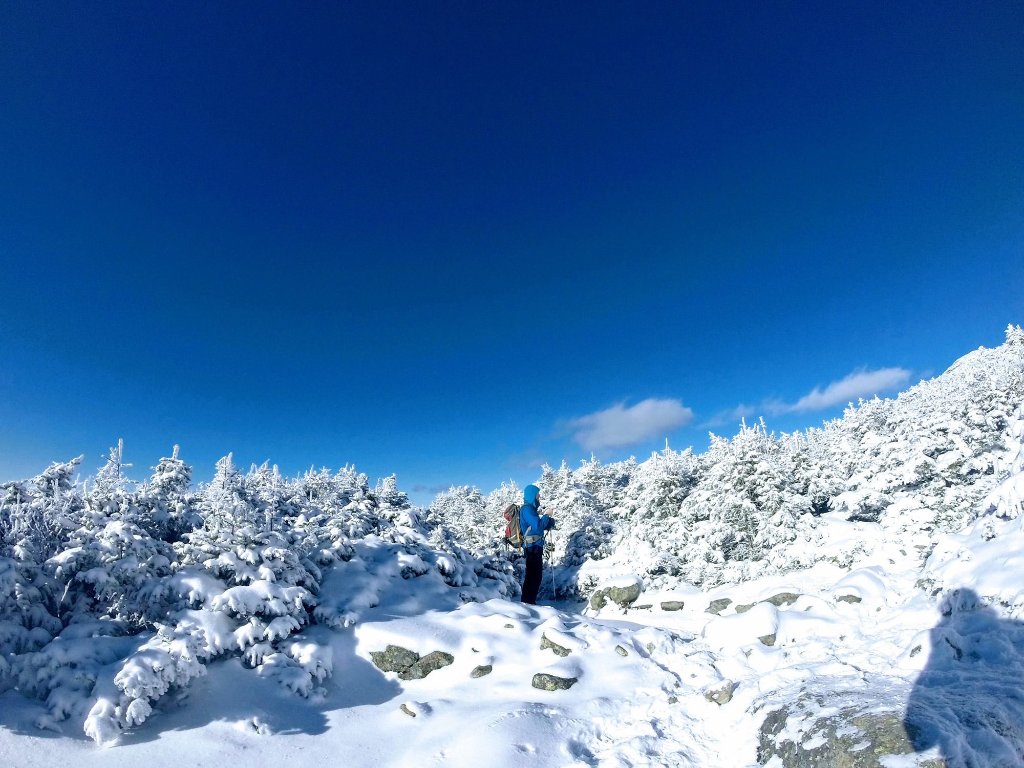 Alpha Guide: Franconia Ridge in Winter
