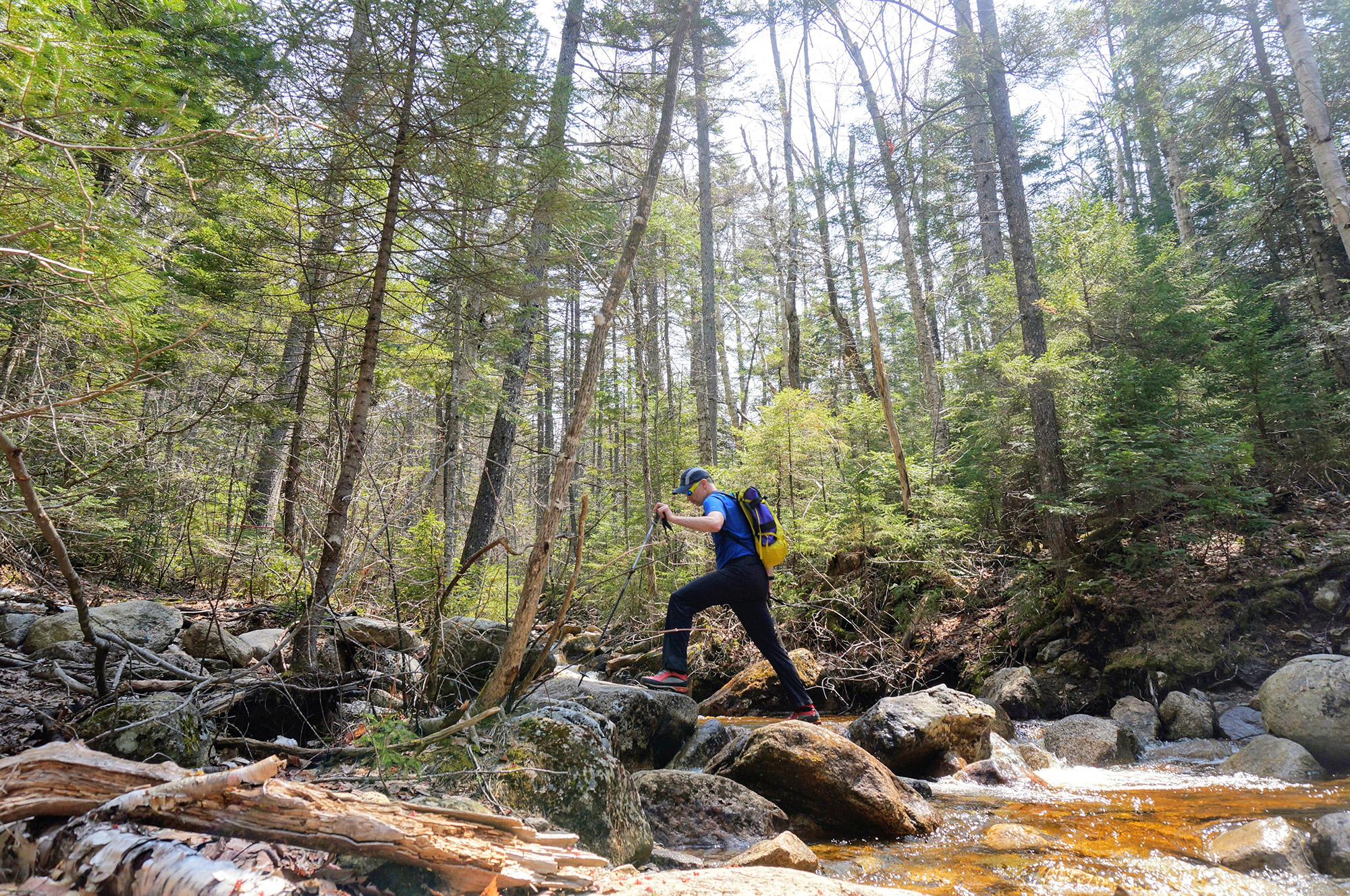 Don't Be A Fool: Stop Doing These Things While Spring Hiking