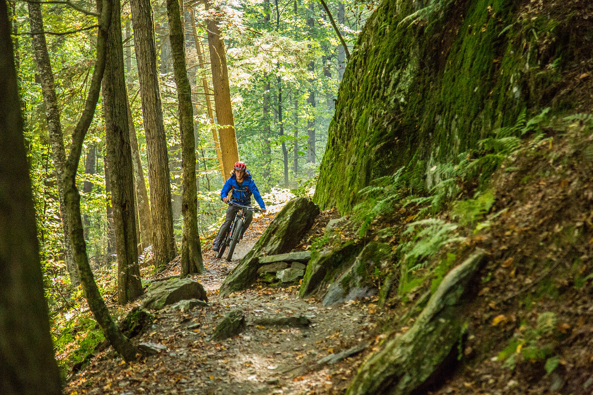 Kitted Out: Summer Mountain Biking 