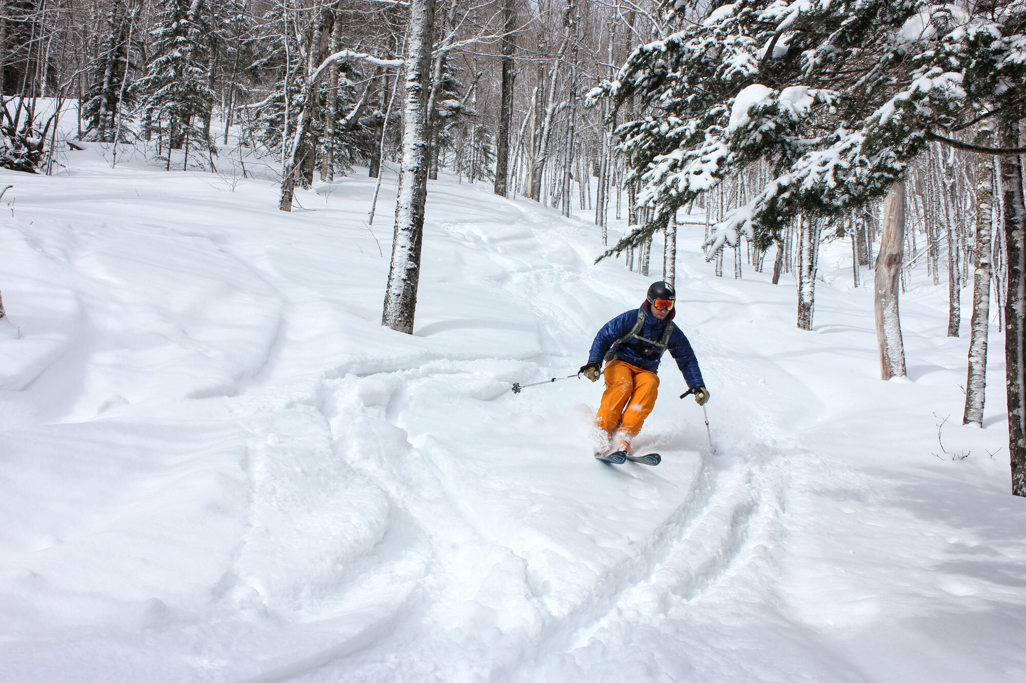 The Perfect Ski Width for the East Coast Backcountry