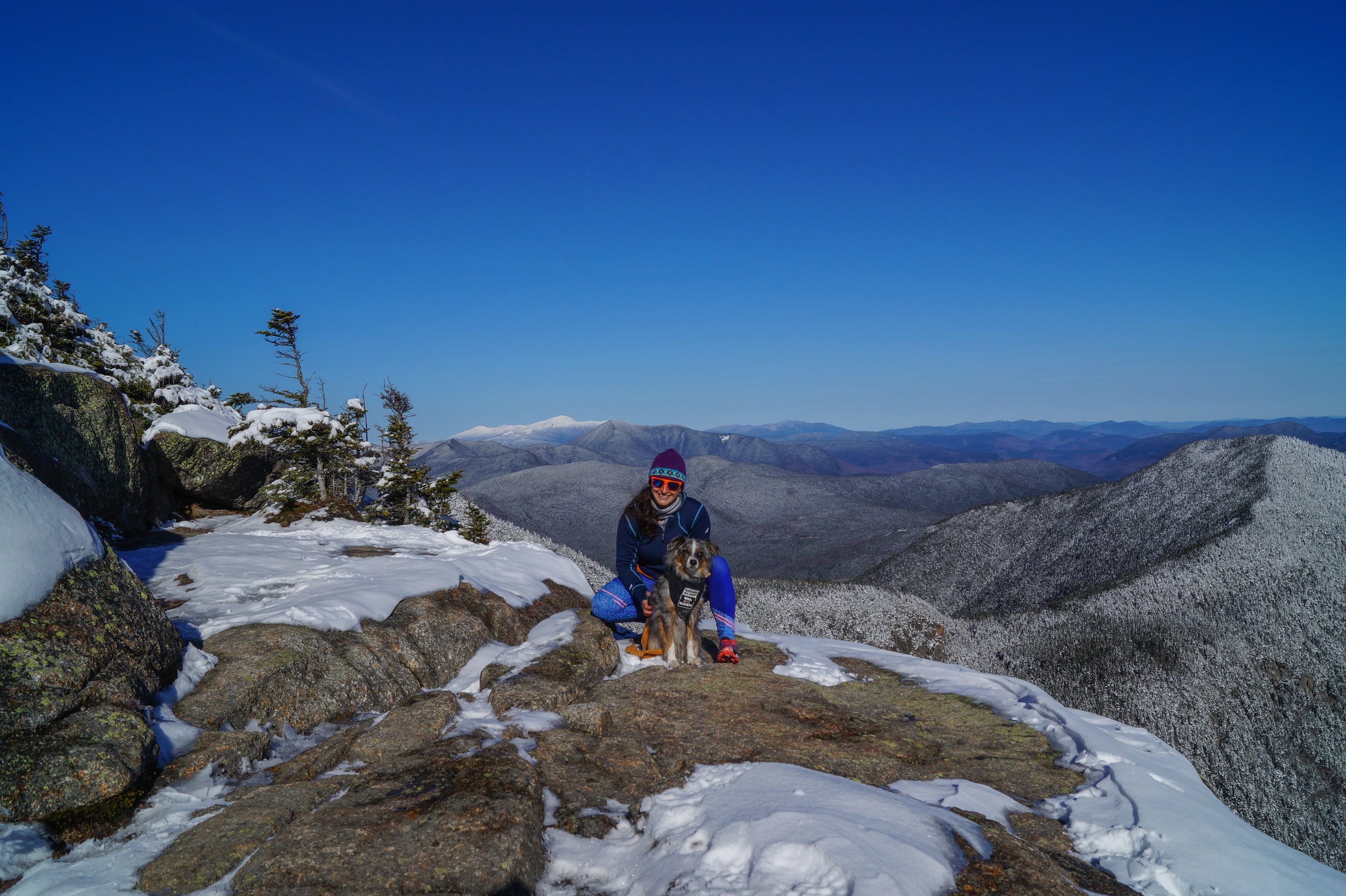 10 Tips for Winter Hiking with Your Dog