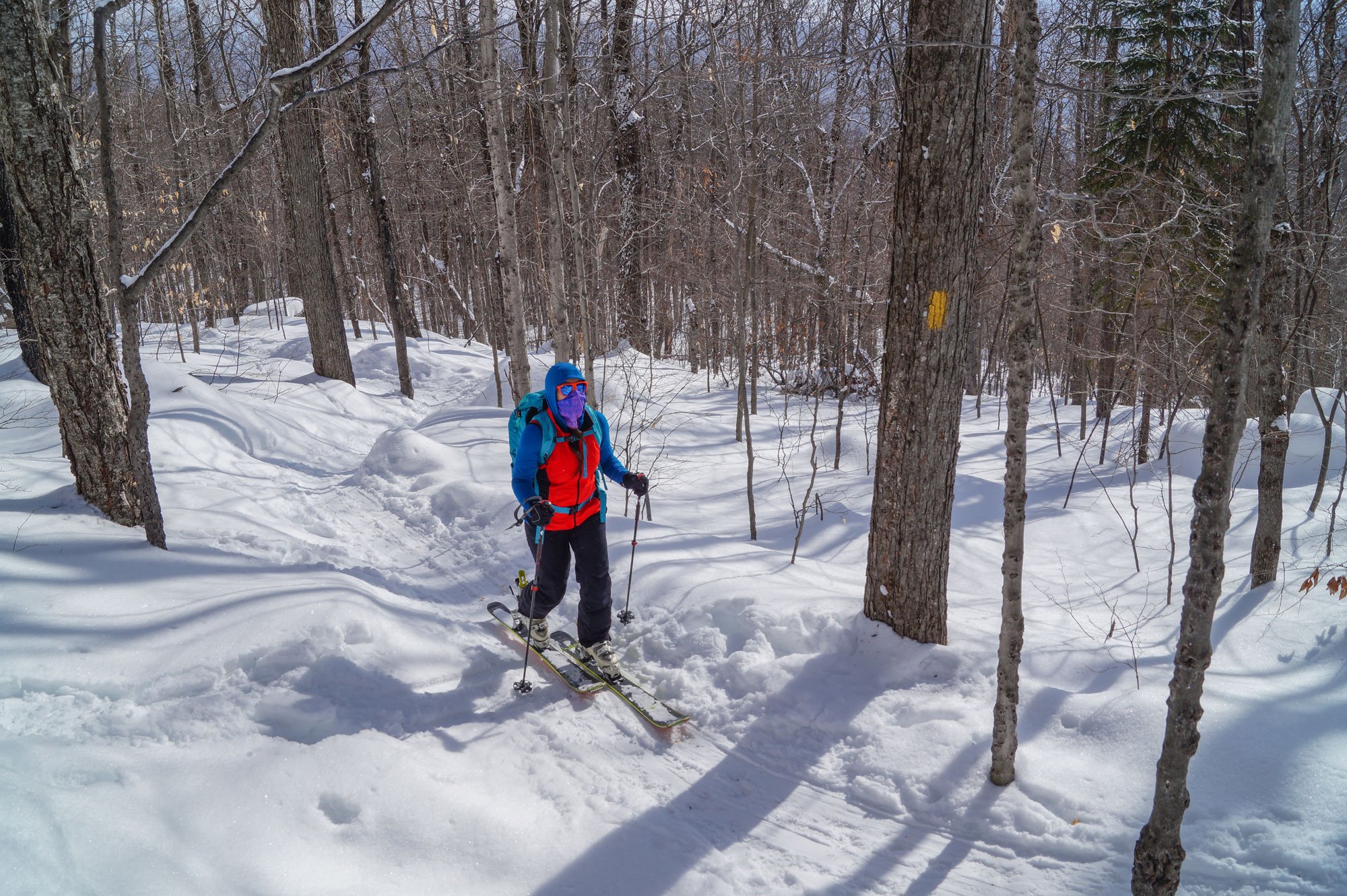 How to Pack Your Bag for Backcountry Skiing