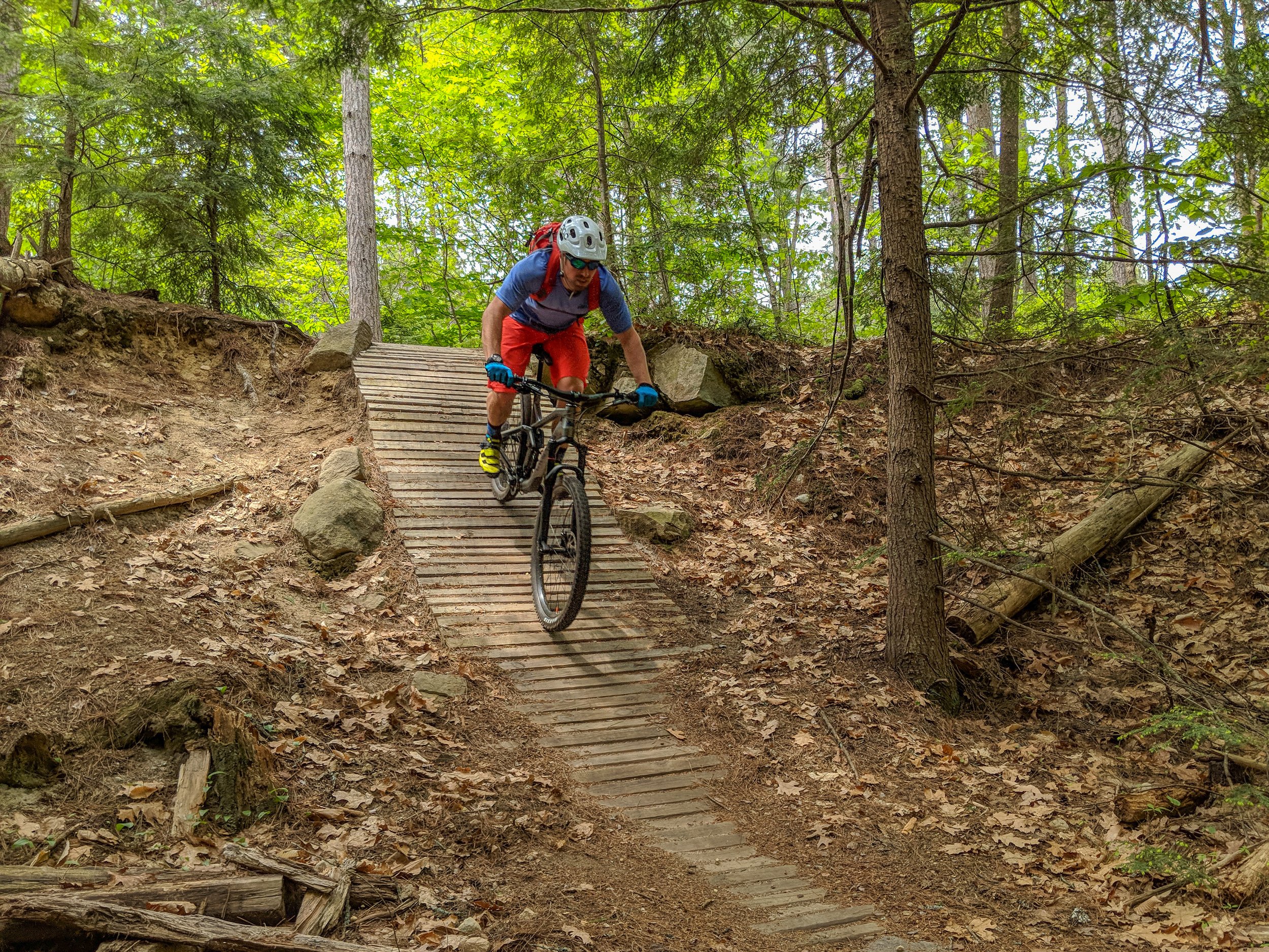 Yield to Fun: Why Descending Mountain Bikers Should Go First