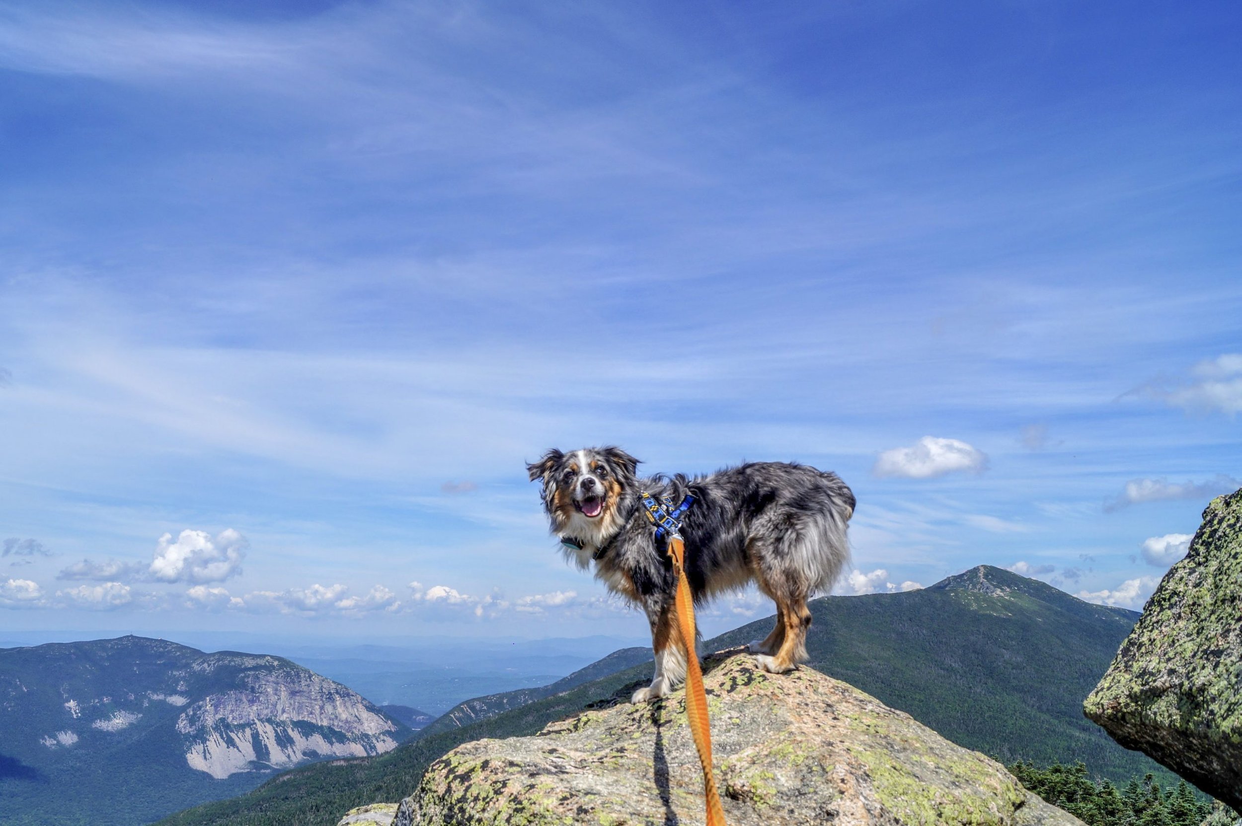 Beat the Crowds on These White Mountain Hikes