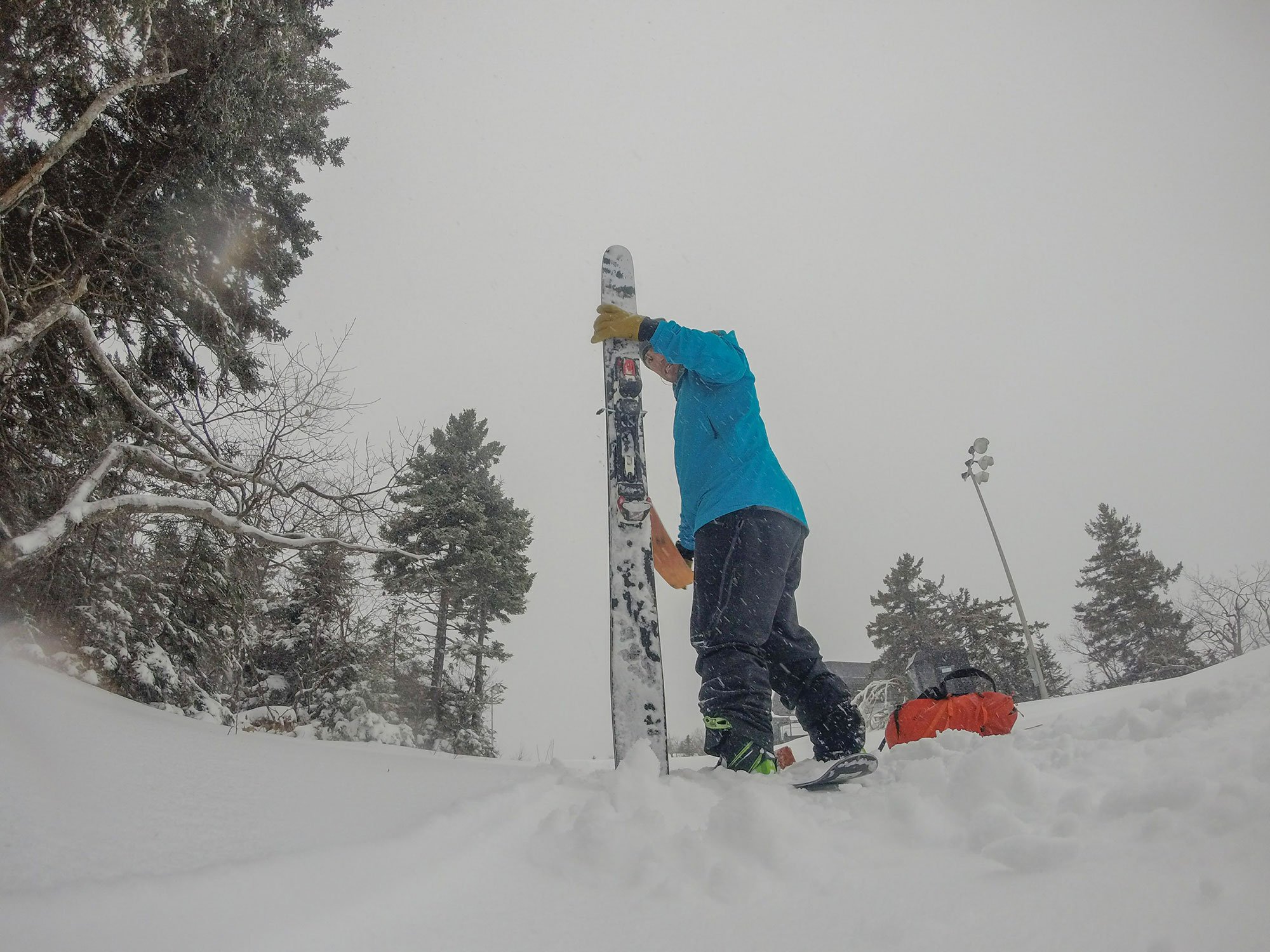 How to Choose and Trim Skins for Your Backcountry Skis