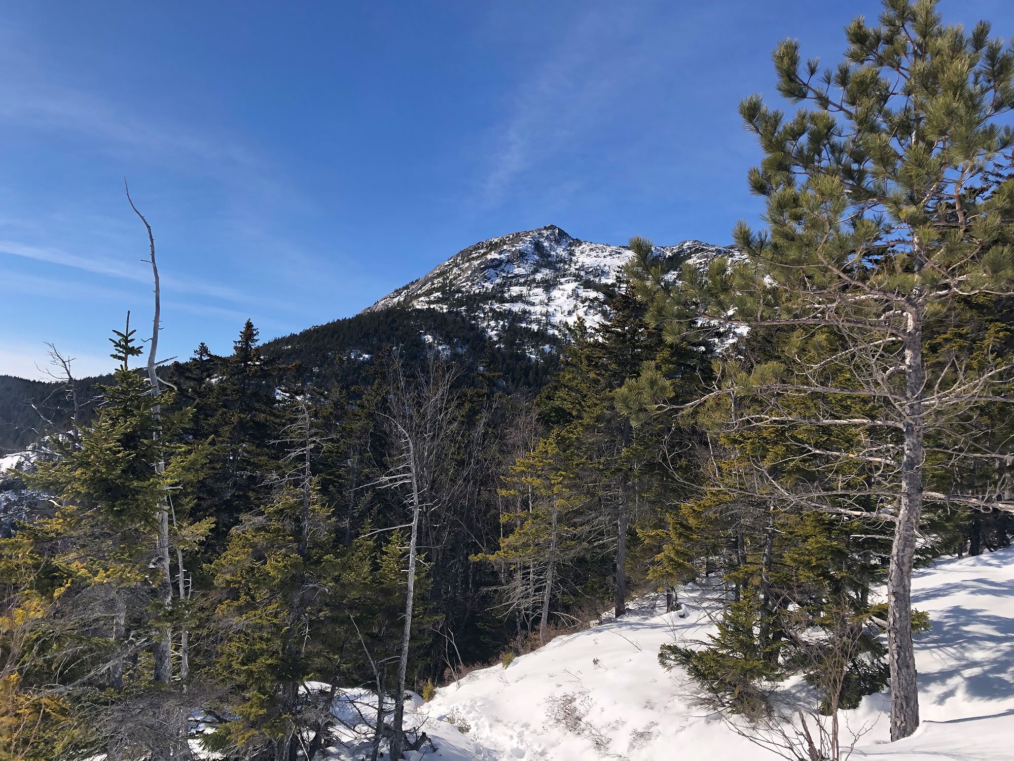 Alpha Guide: Hiking Mount Chocorua via the Piper Trail in the Winter