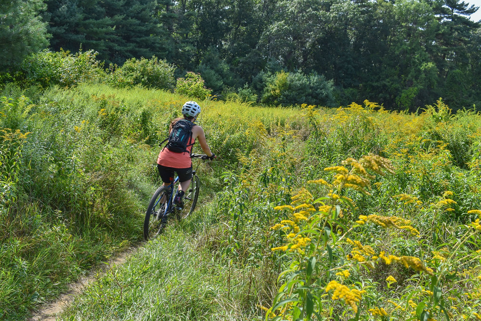 Bikes and Brews: Callahan State Park and Medusa Brewing