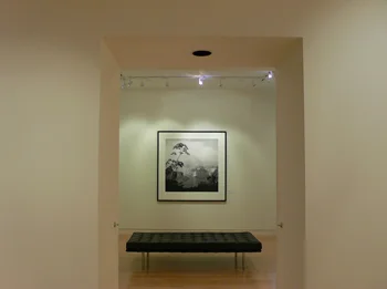 2008 — Edwynn Houk Gallery, New York, "Recent Work"