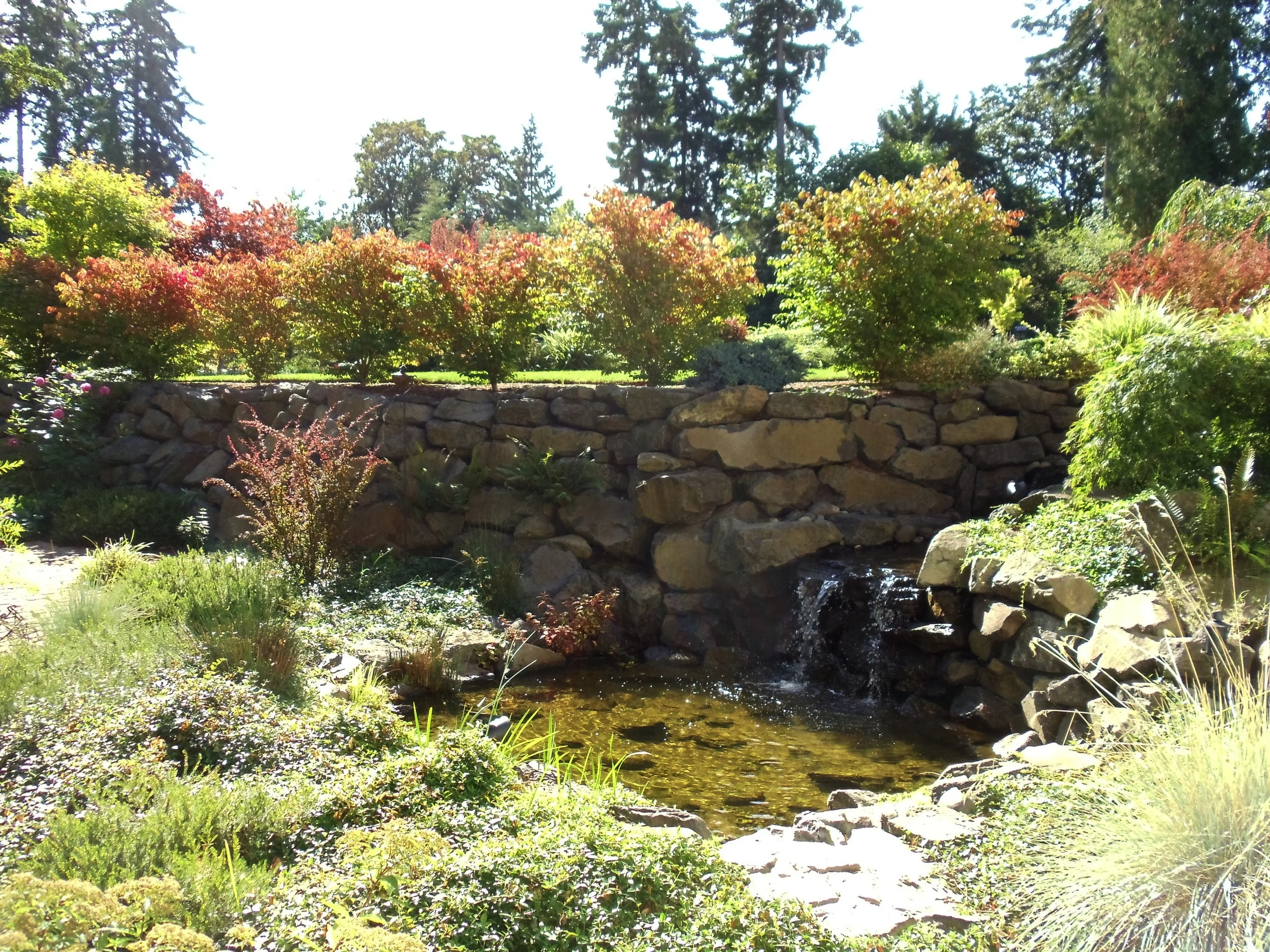 Custom Landscaping and Water Feature Ronish Home