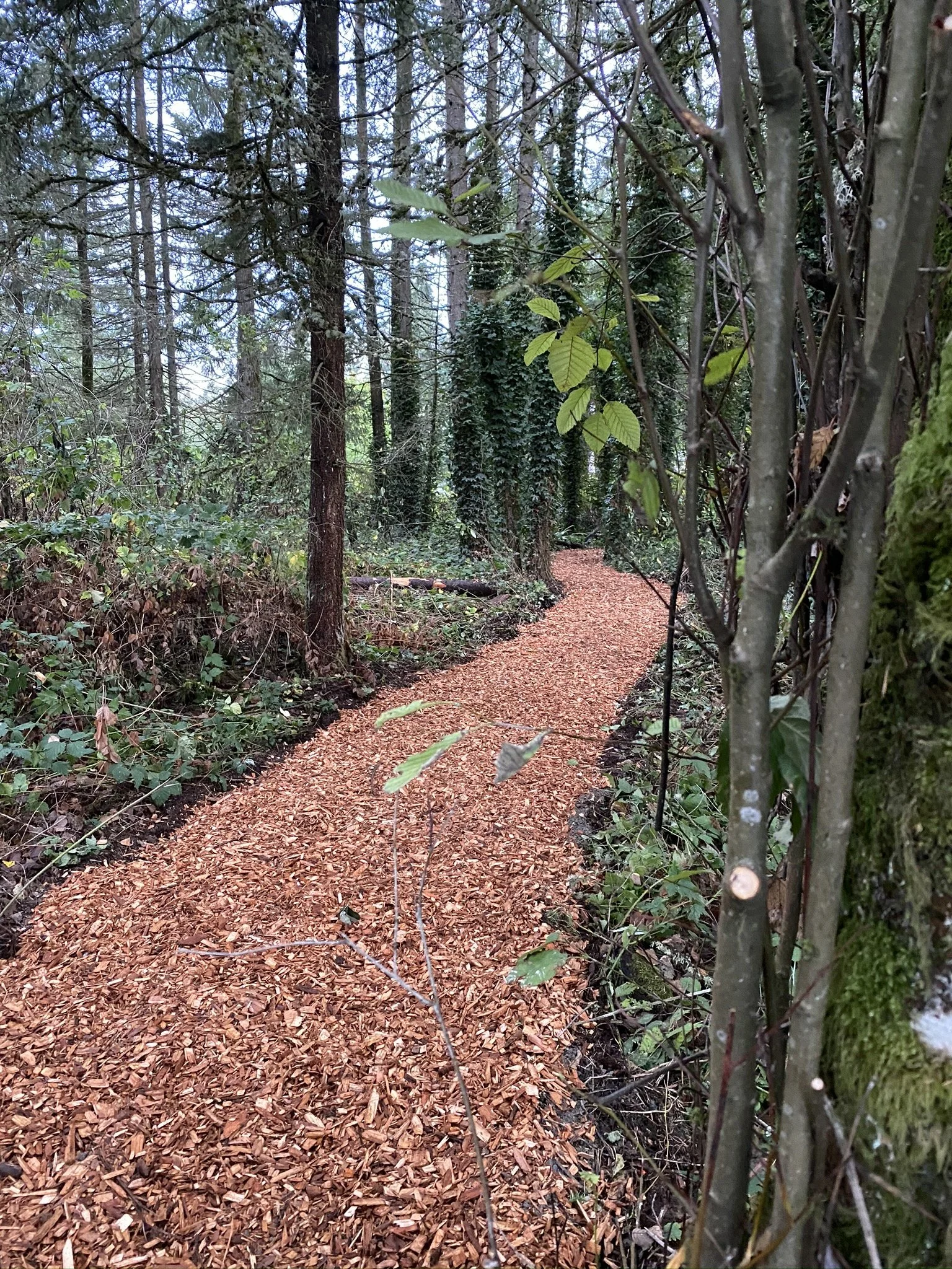 West Hill Lake Park for the City of Auburn
