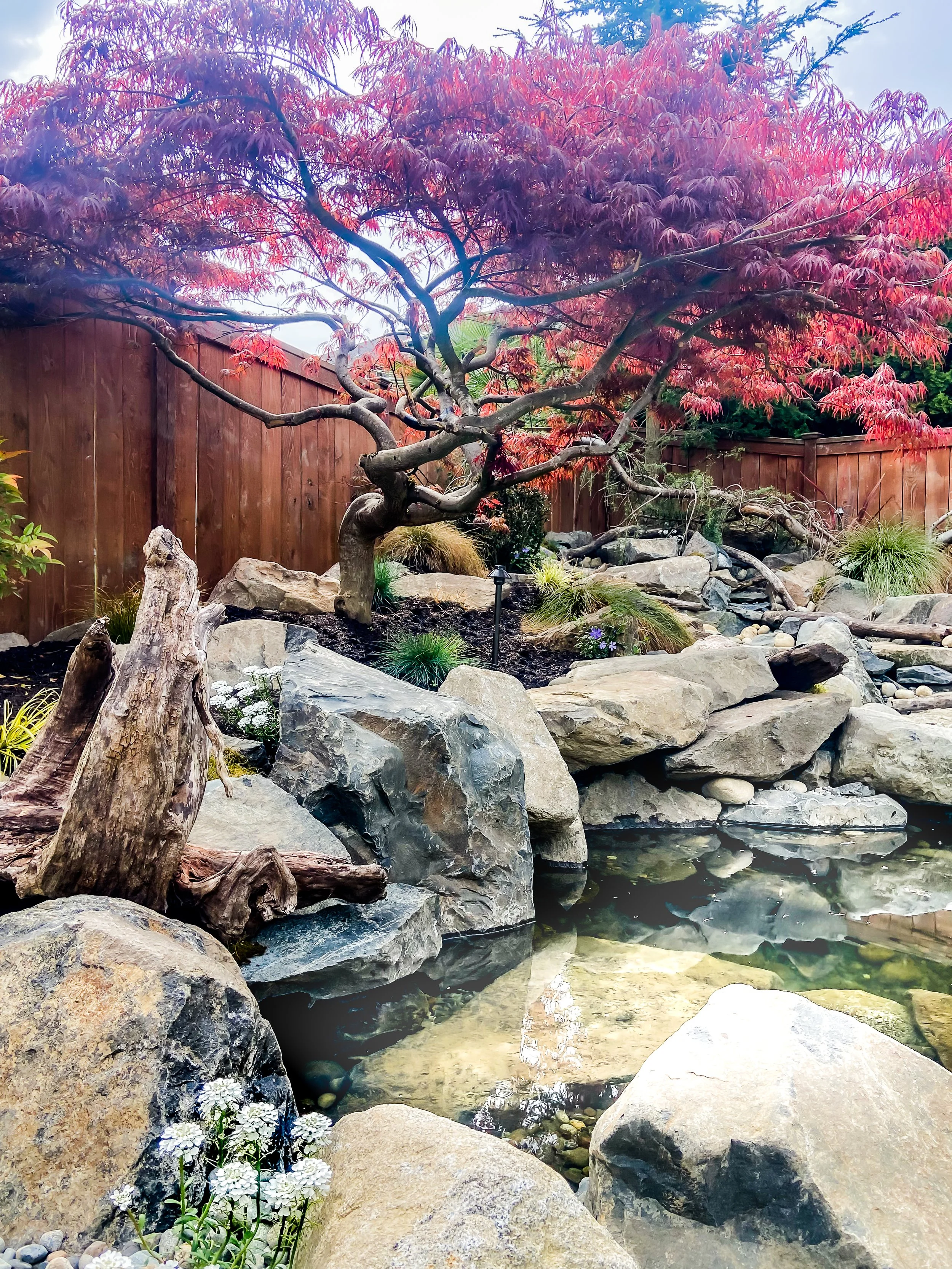 Water Feature for the Peterson Family