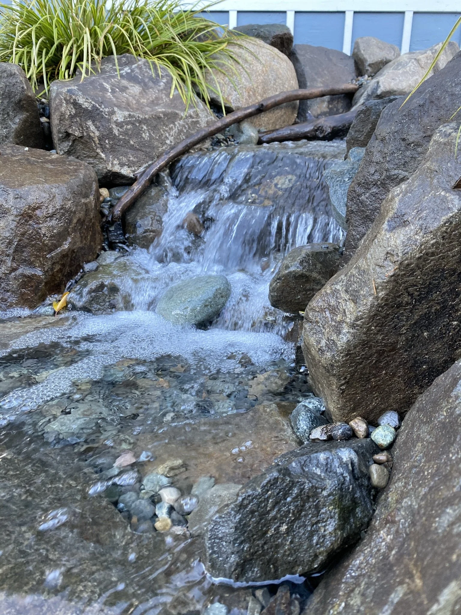 IMG_0675.JPEG