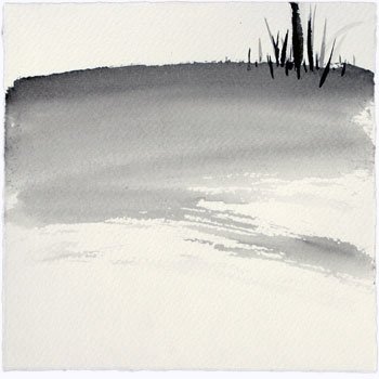 tsai_6/1/2009