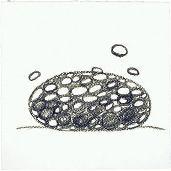 tsai_11/16/2009