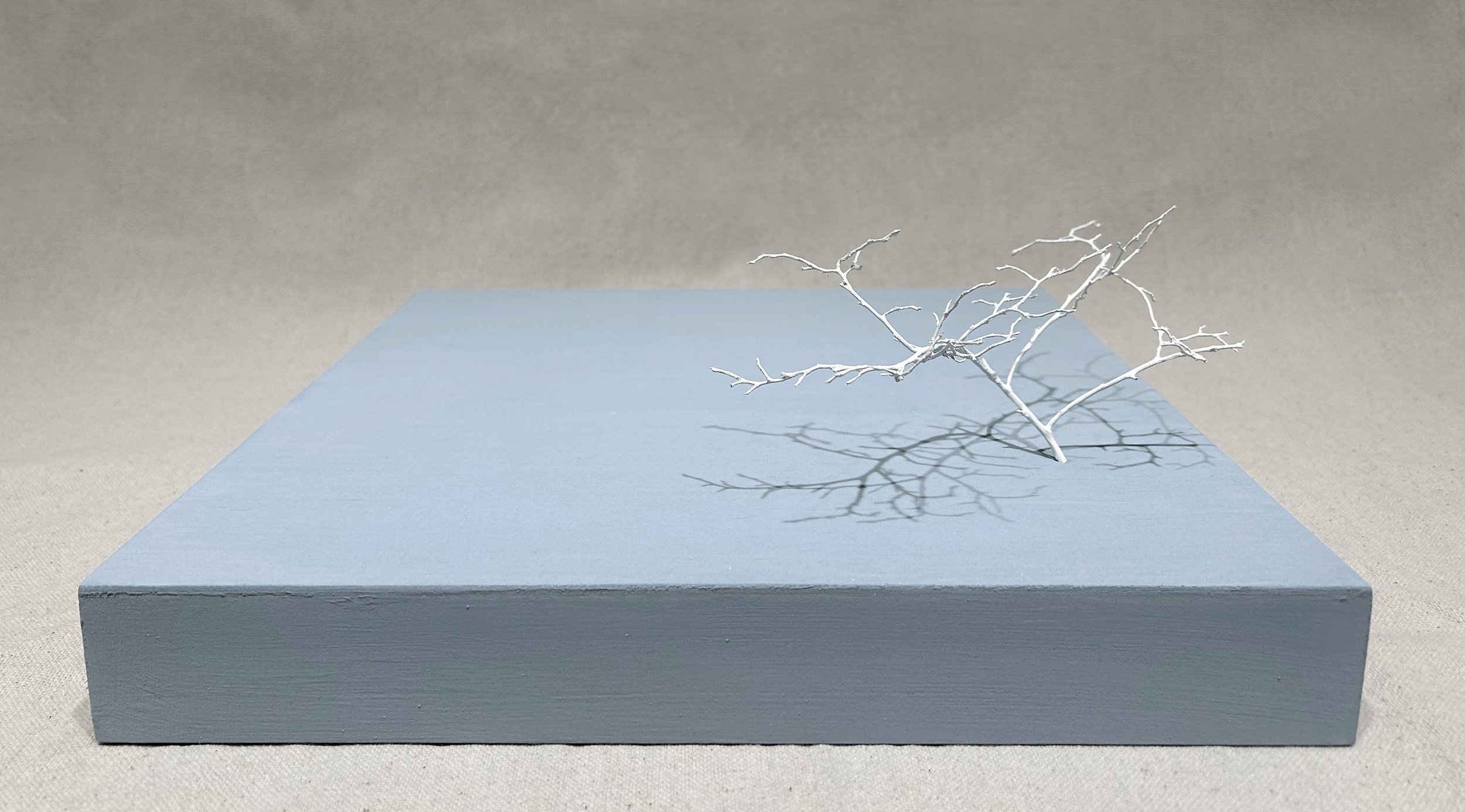 Ling-Wen_Tsai_Rising:Sinking_Tree_1.jpg