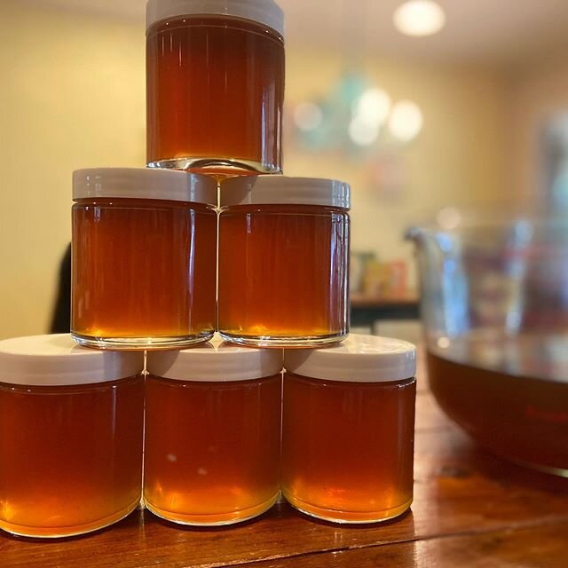 Fire Cider Honey 🔥🍯🐝 #firecider #honey #buonasara