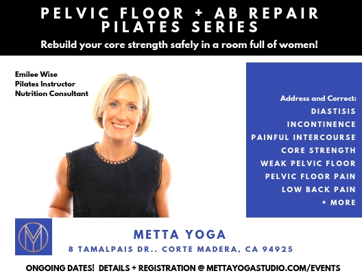 Intermediate Pelvic Floor Ab Recovery Wise Wellness
