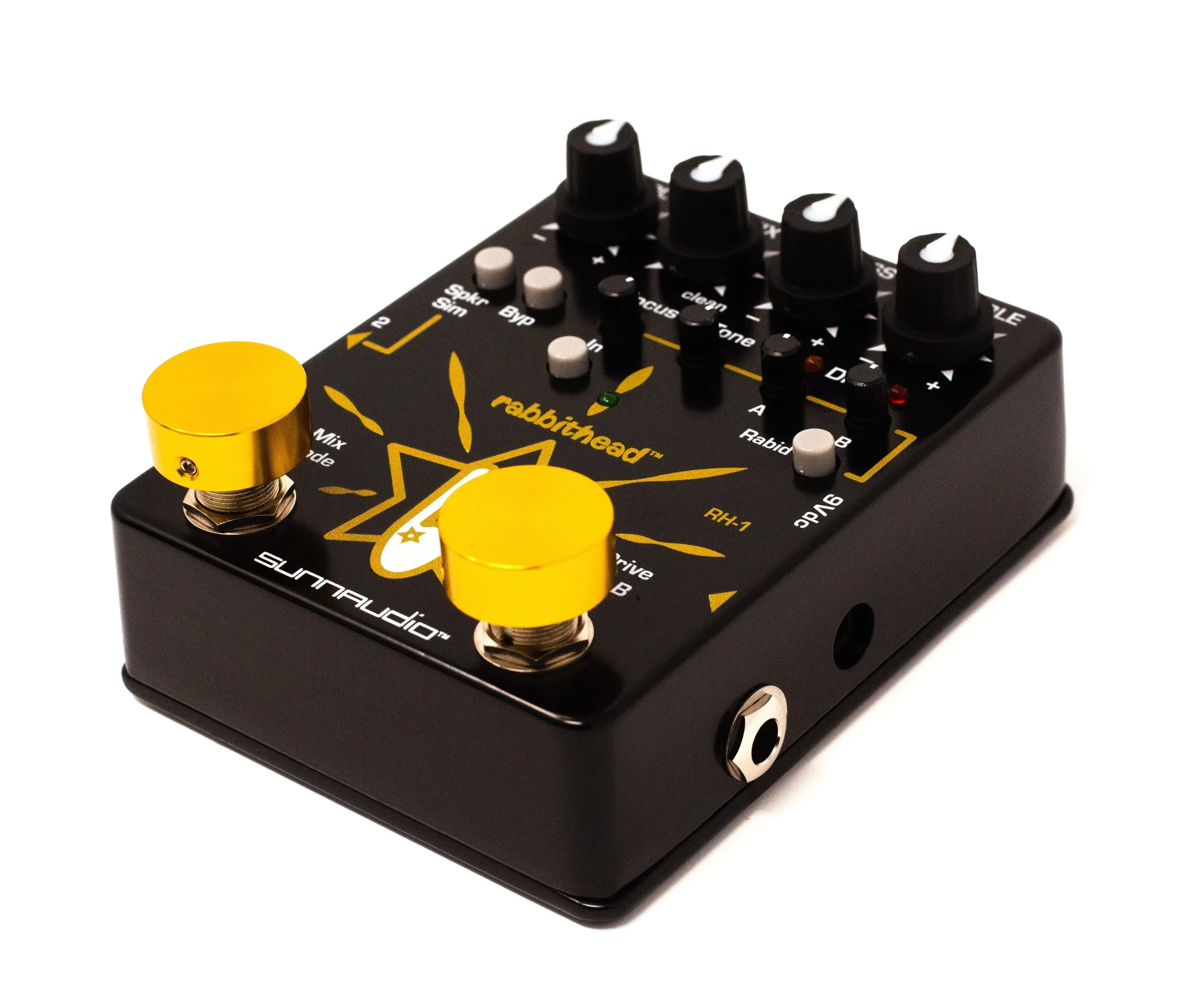 SUNNAUDIO-rabbithead-9434 copy.jpg