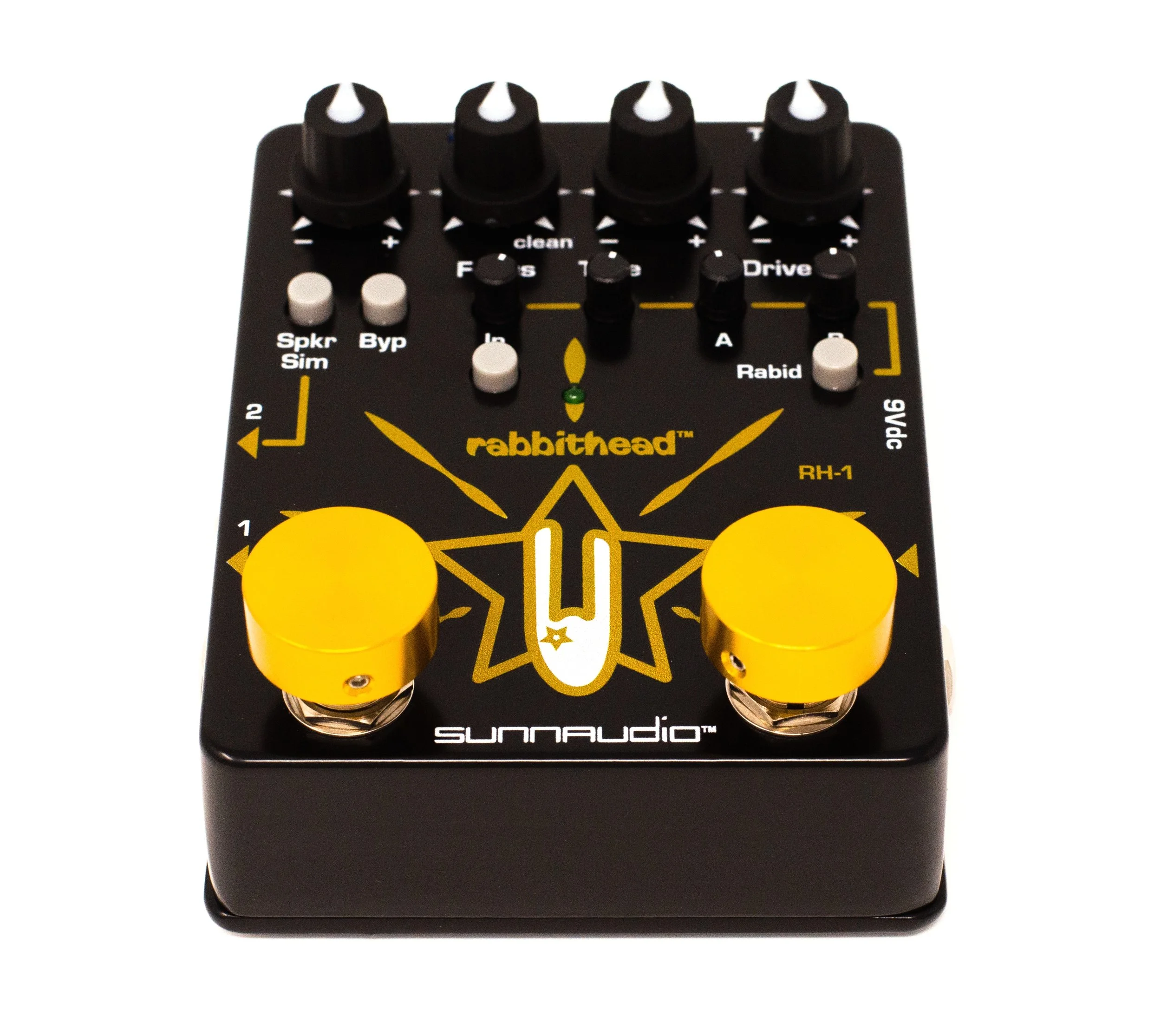 SUNNAUDIO-rabbithead-9431 copy.jpg