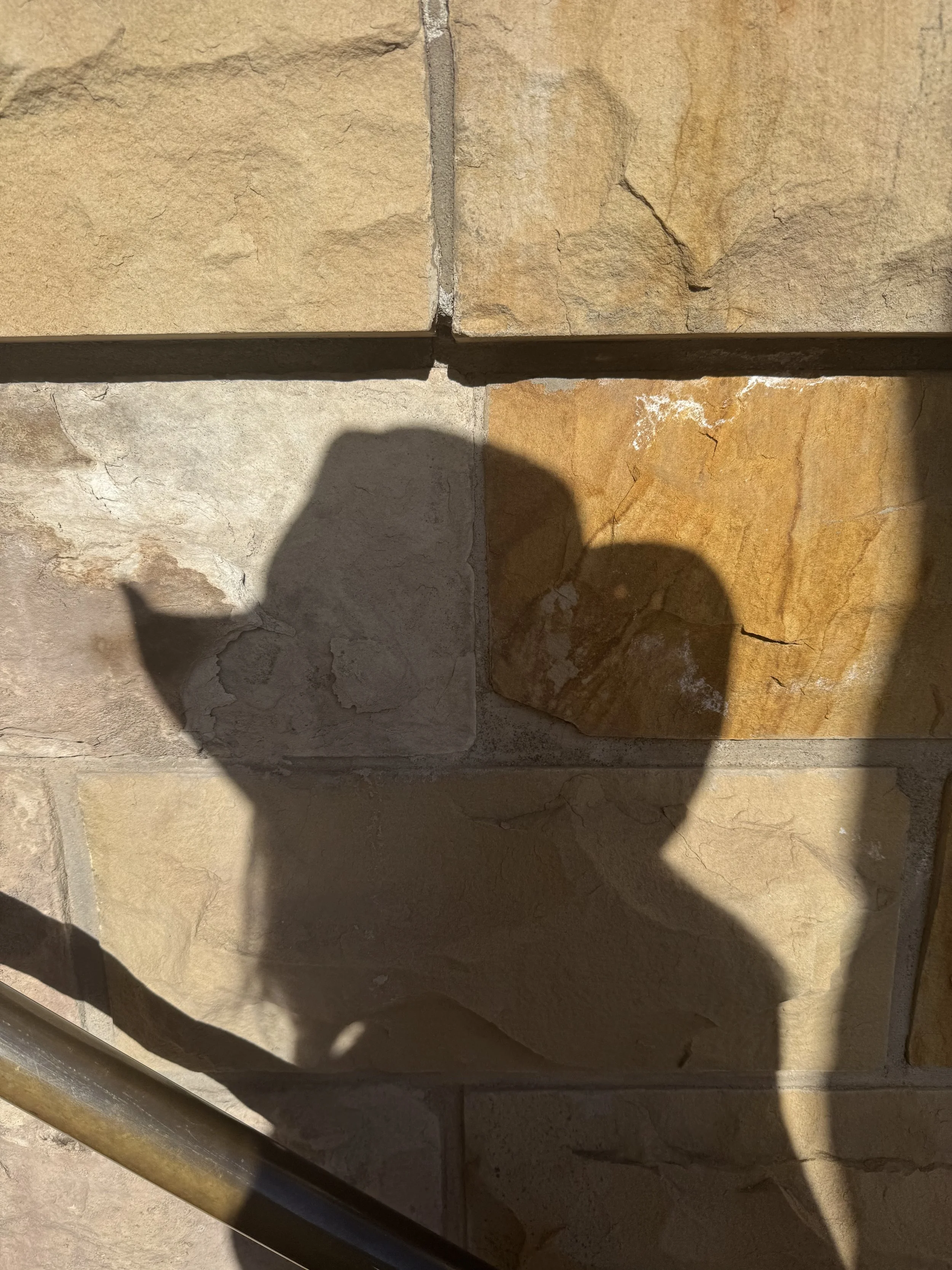 IMG_1217 2.jpeg