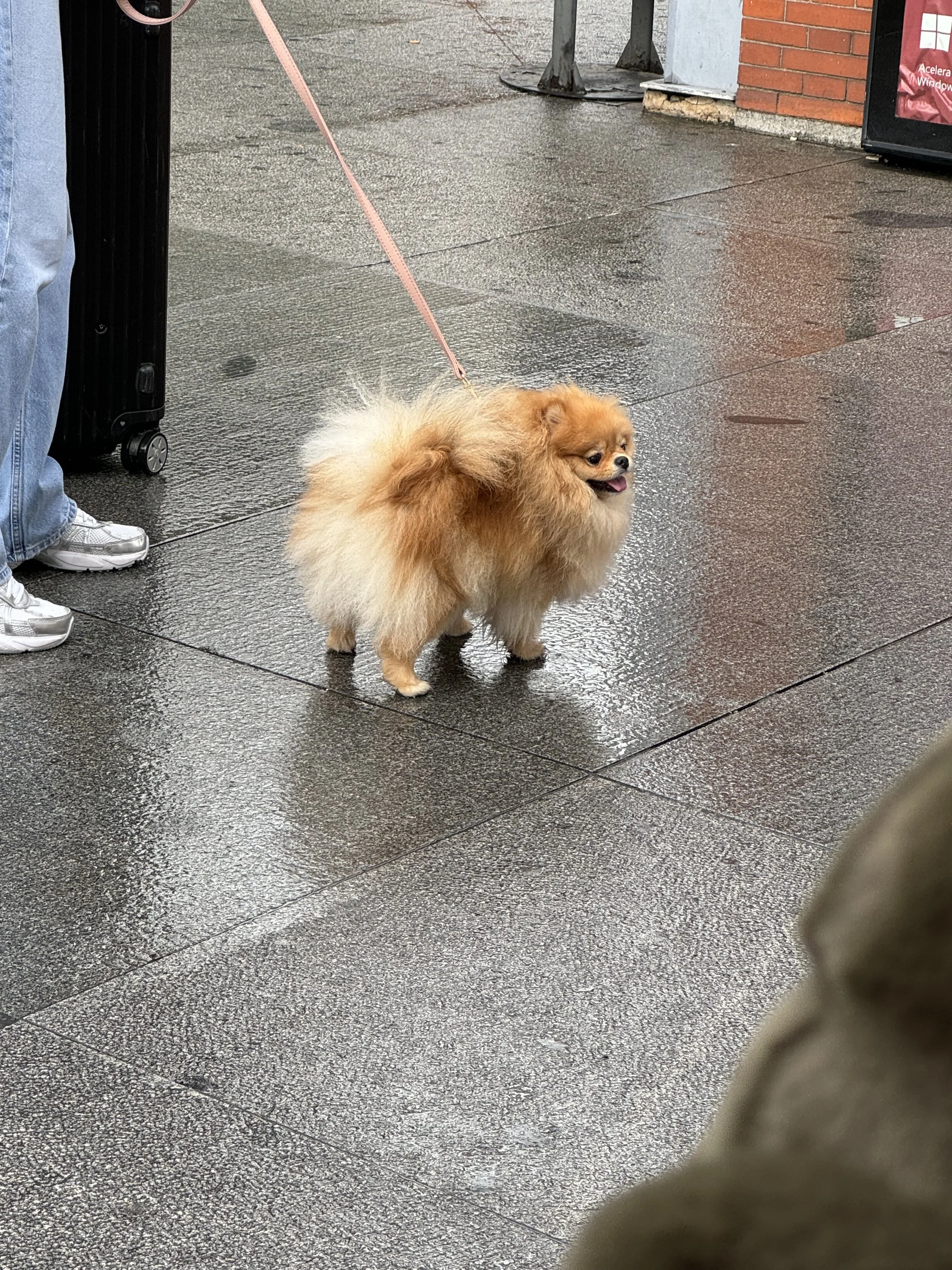 IMG_3094.jpeg