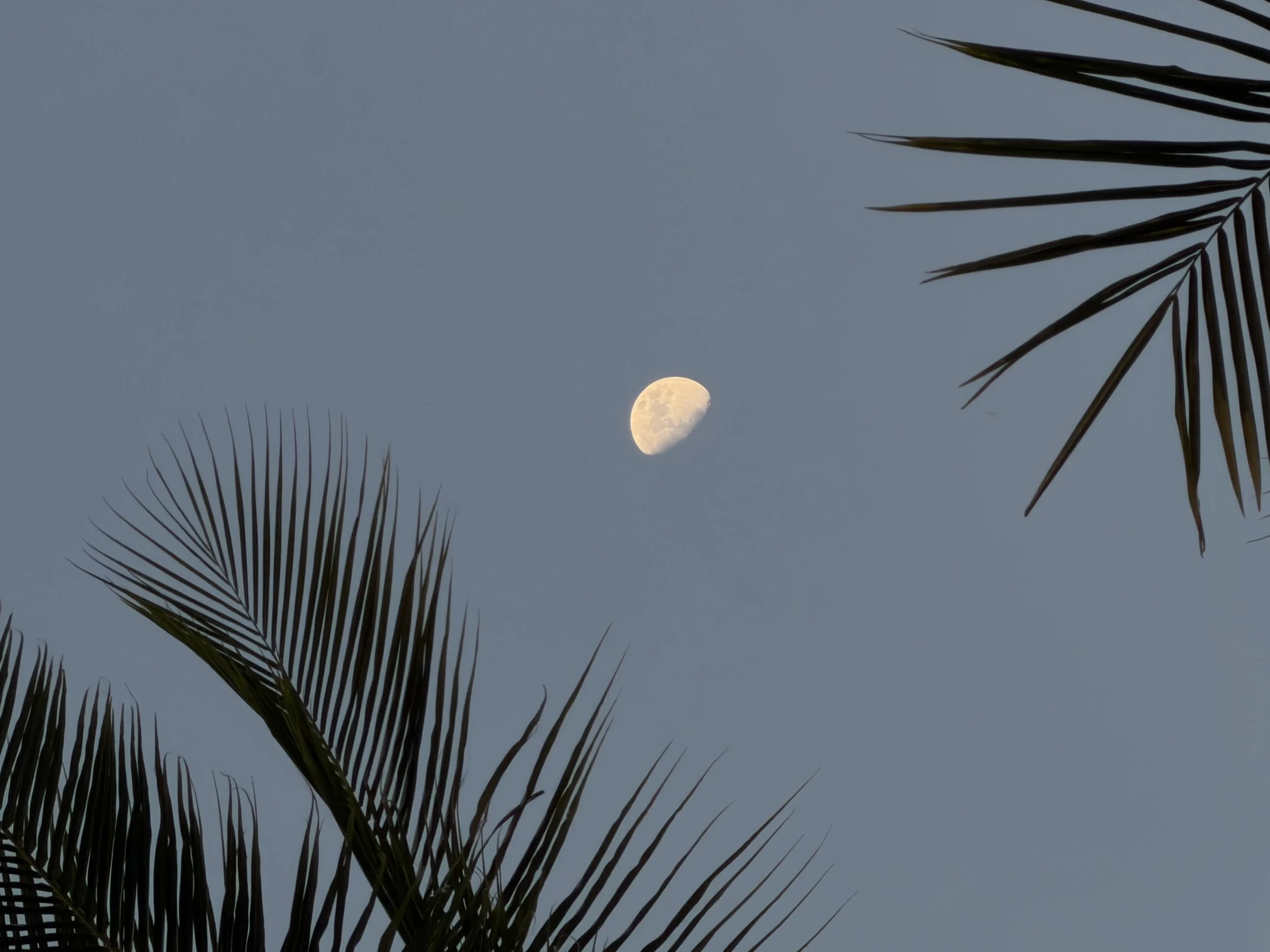 IMG_1628.jpeg