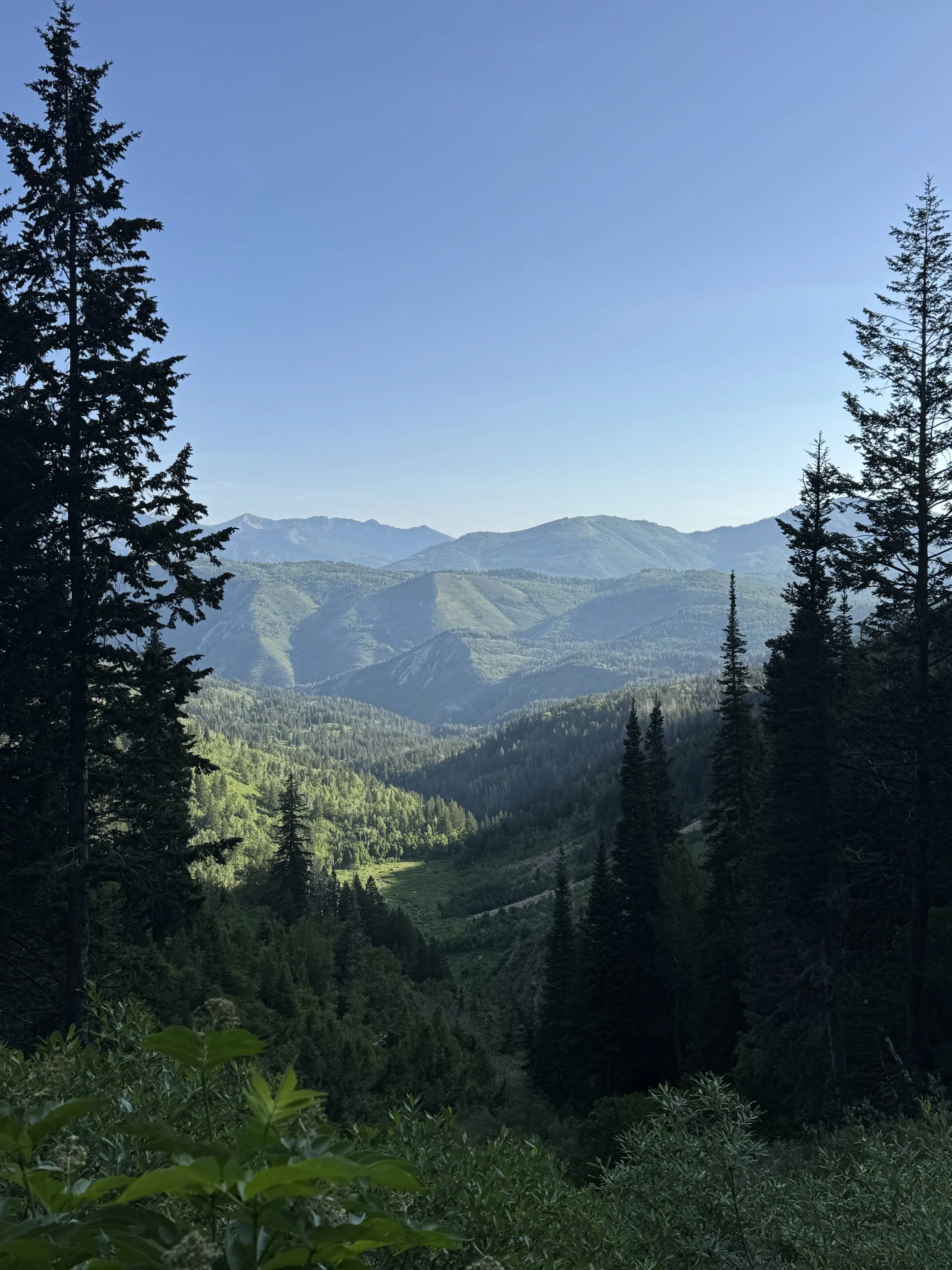 IMG_2007.jpeg
