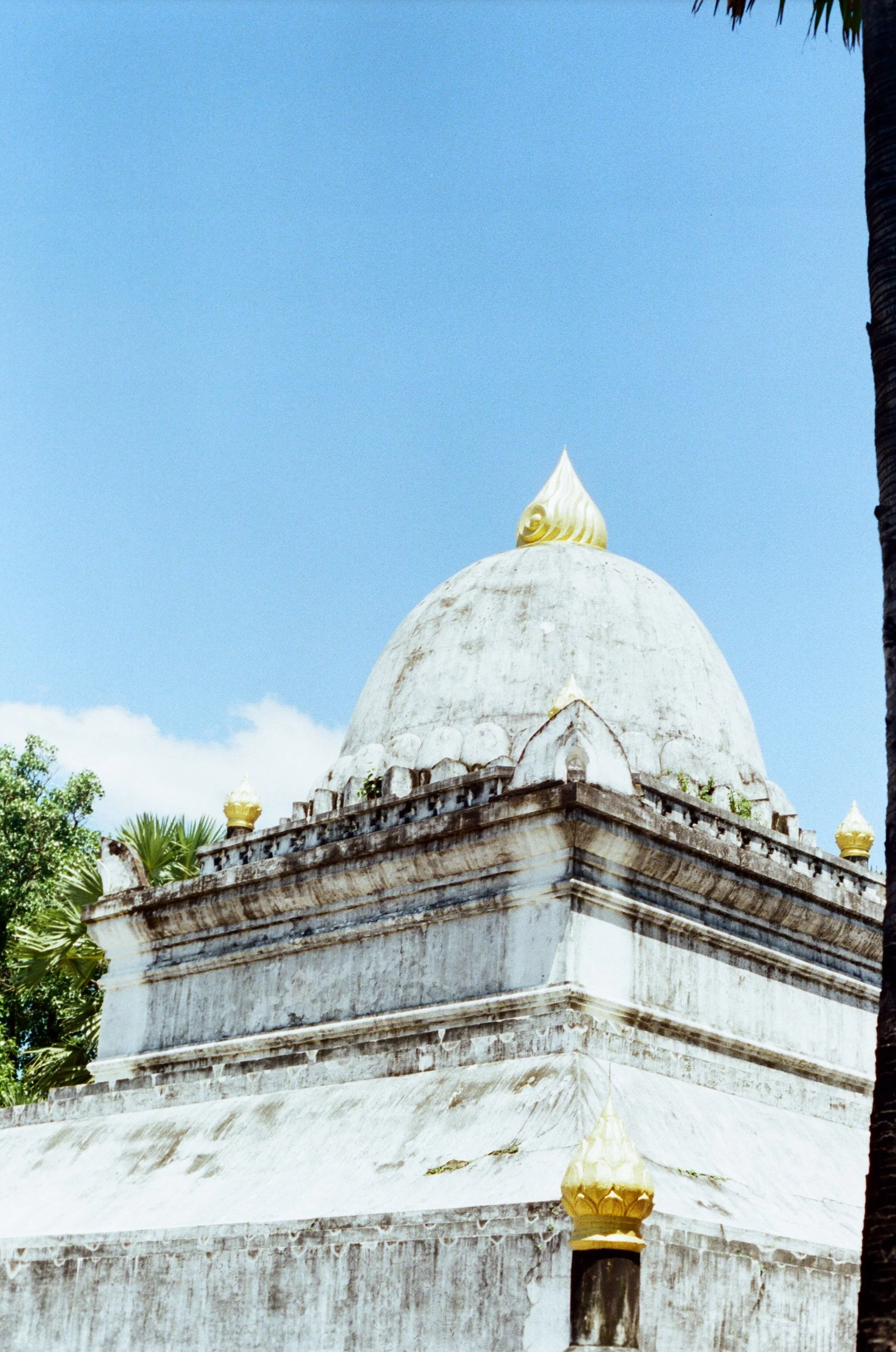 000032030038 (1).jpg