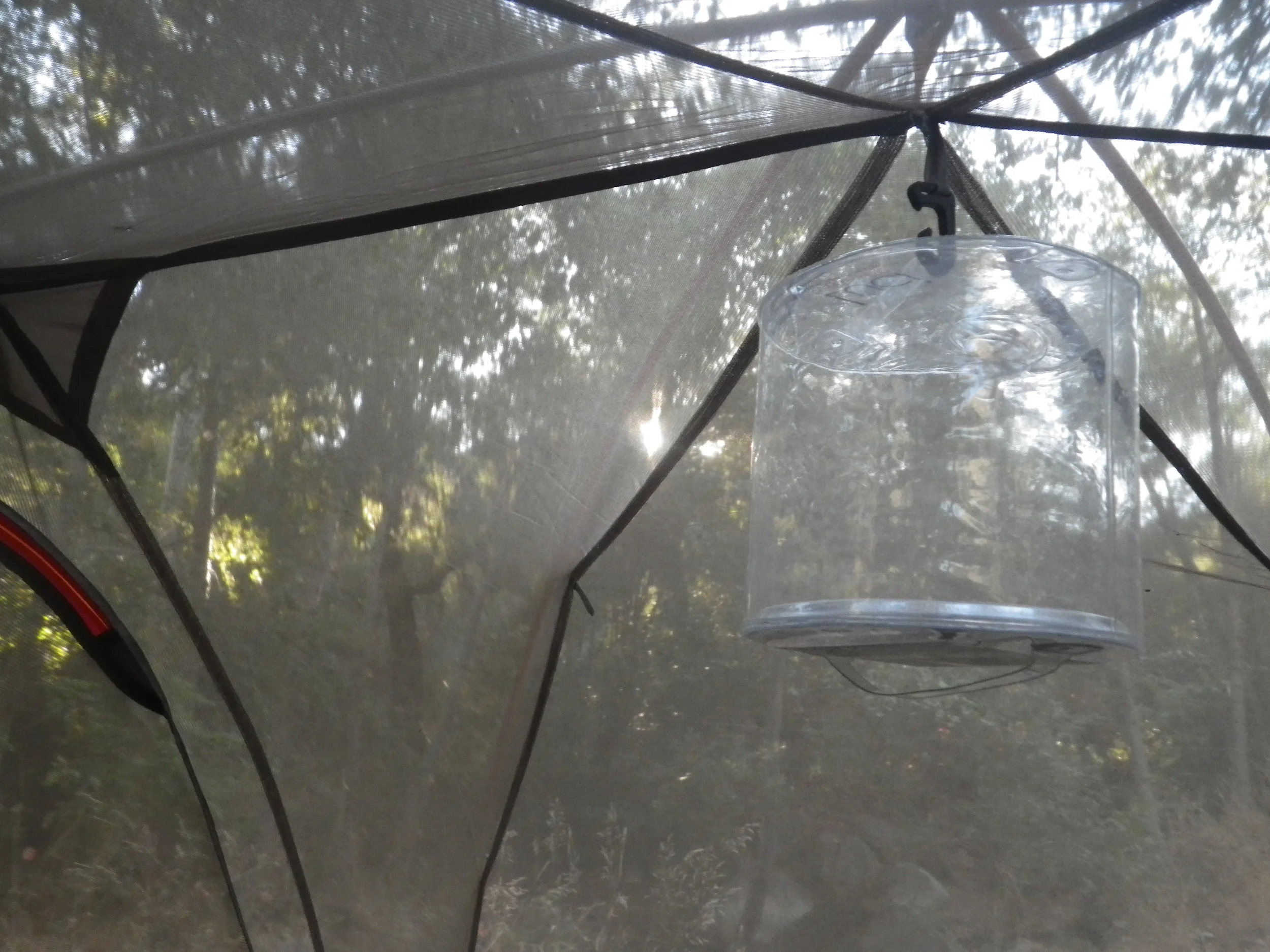 The Luci Light by MPowered